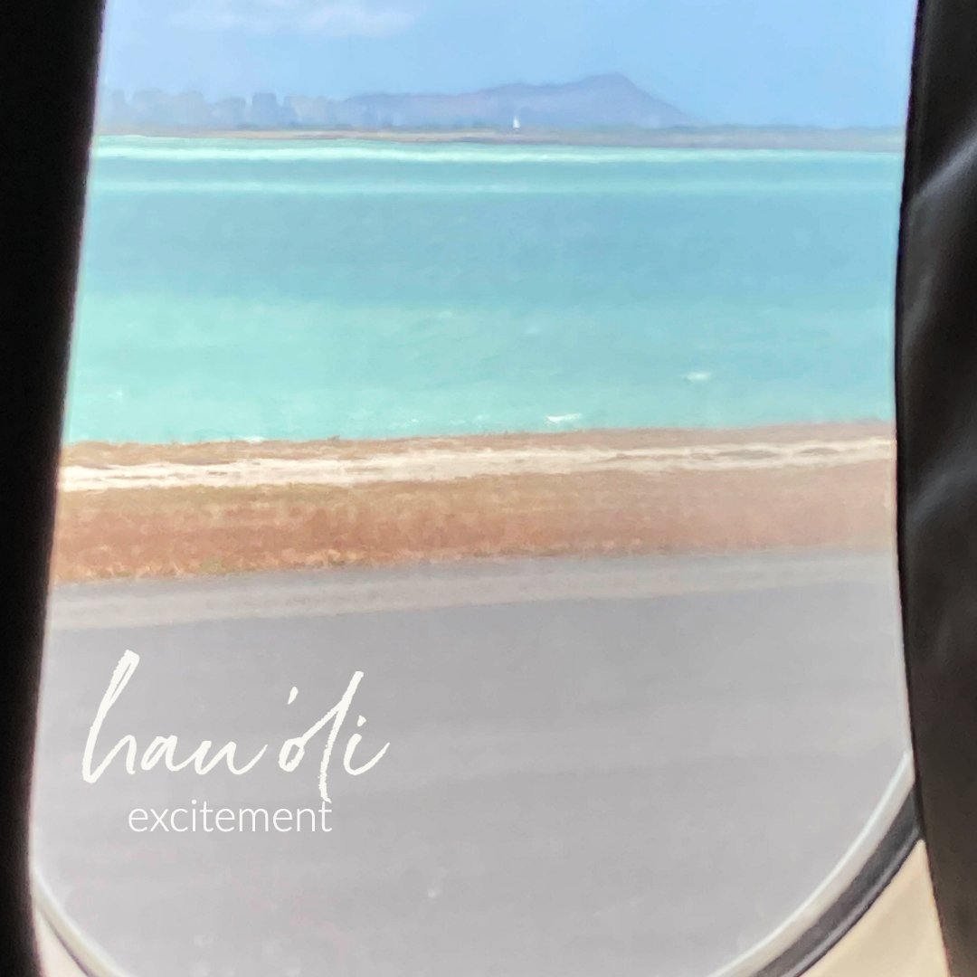Hawaiian Word of the Week: hau'oli — She Lives Aloha