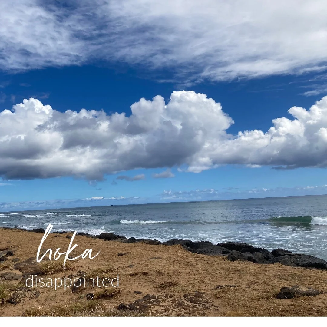 Hawaiian Word of the Week:  hoka