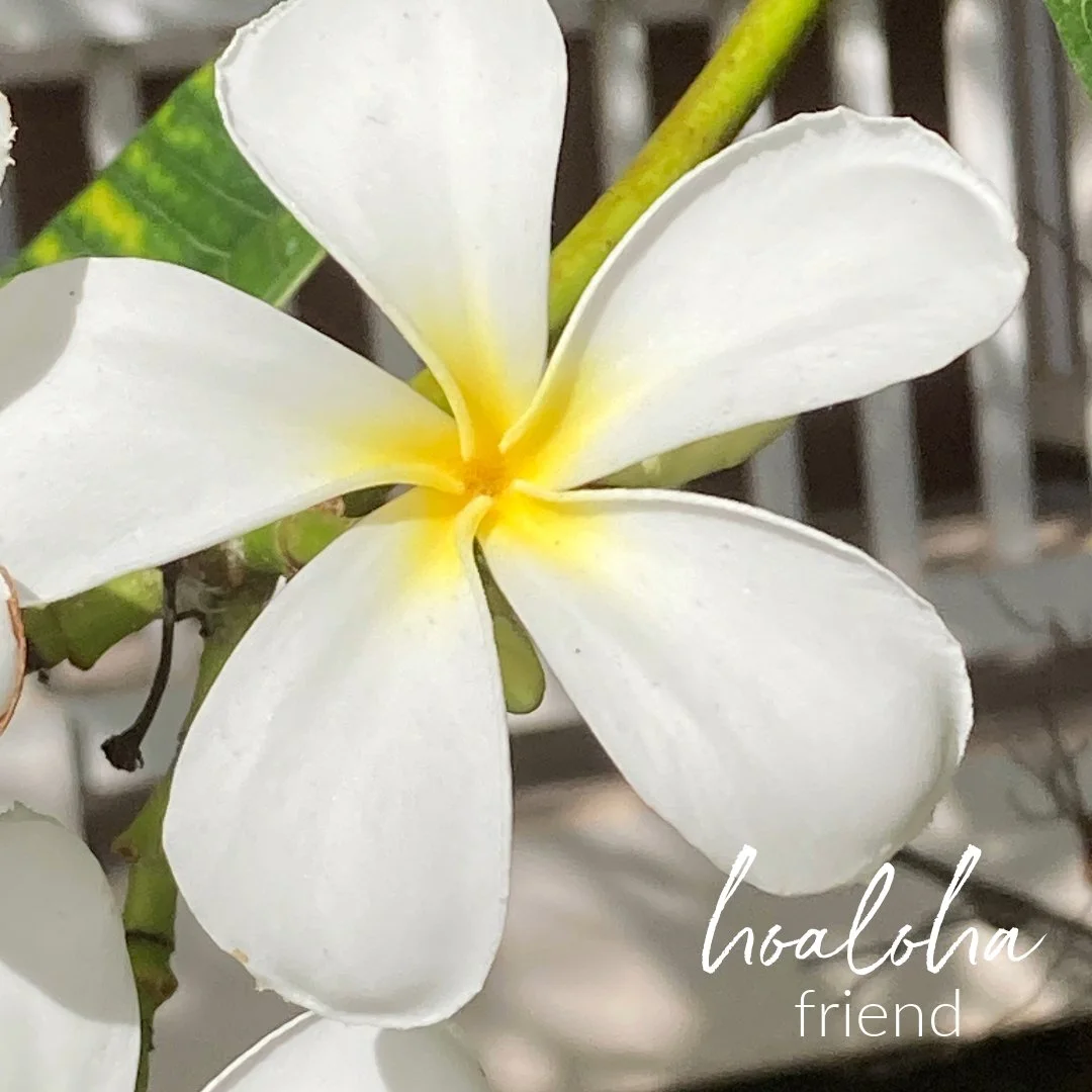 Hawaiian Word of the Week:  hoaloha