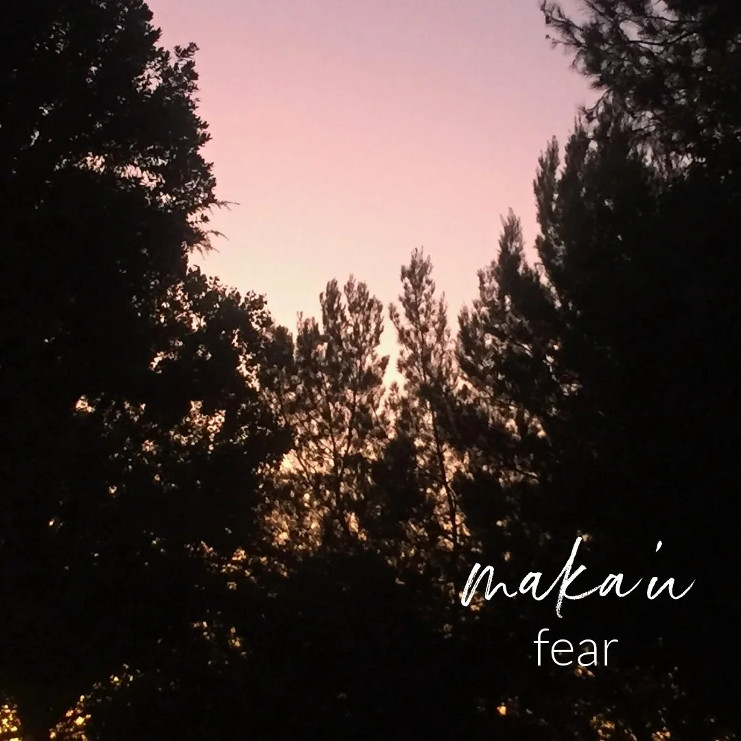 Hawaiian Word of the Week:  maka'u