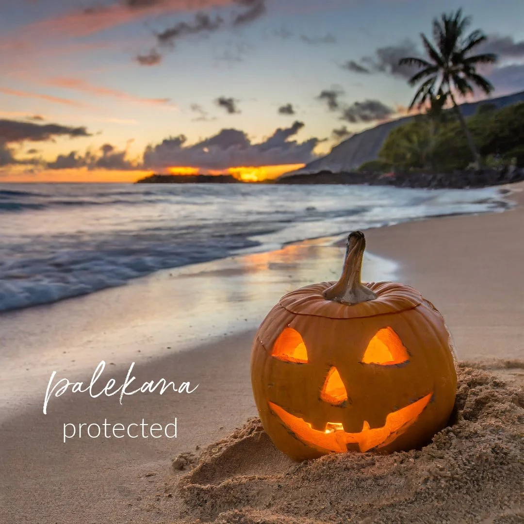 Hawaiian Word of the Week: palekana
