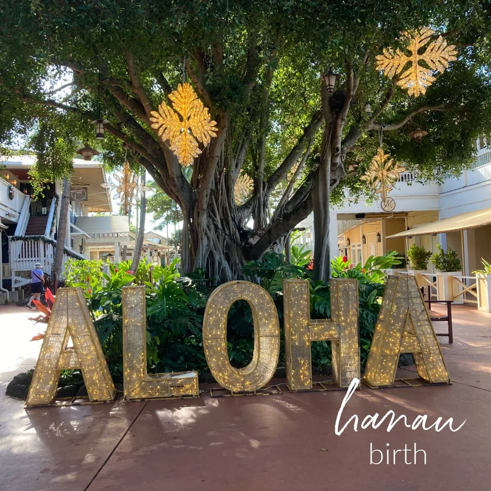 Hawaiian Word of the Week: hānau — She Lives Aloha