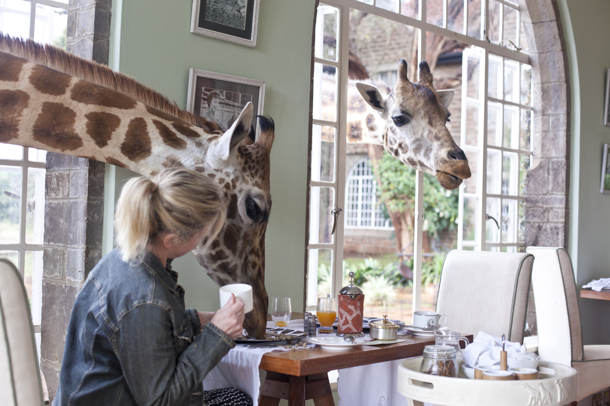 Safari Collection Giraffe Manor Breakfast 2.jpg