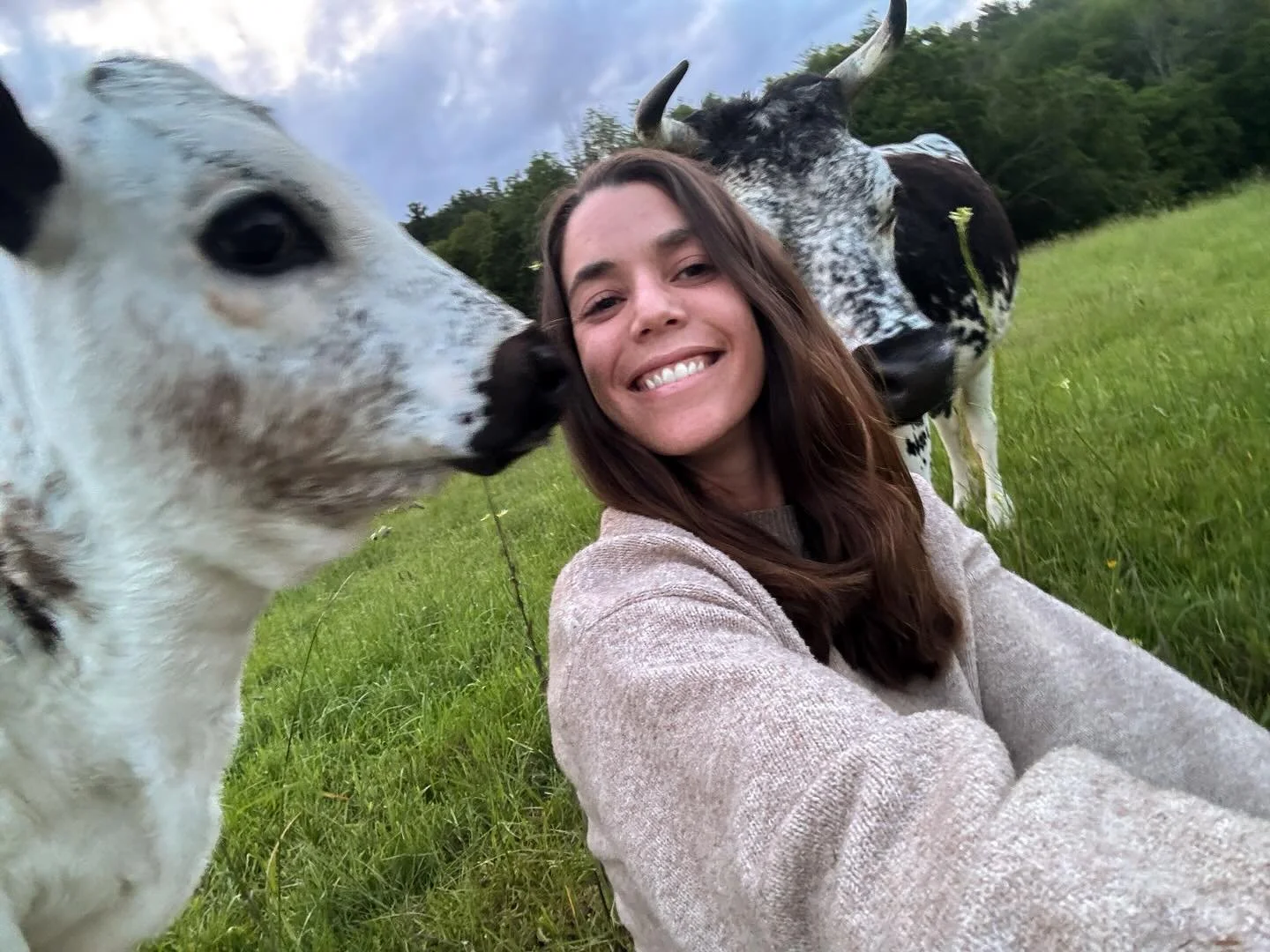 I almost forgot, this is what it&rsquo;s all about 🐄🖤🤍