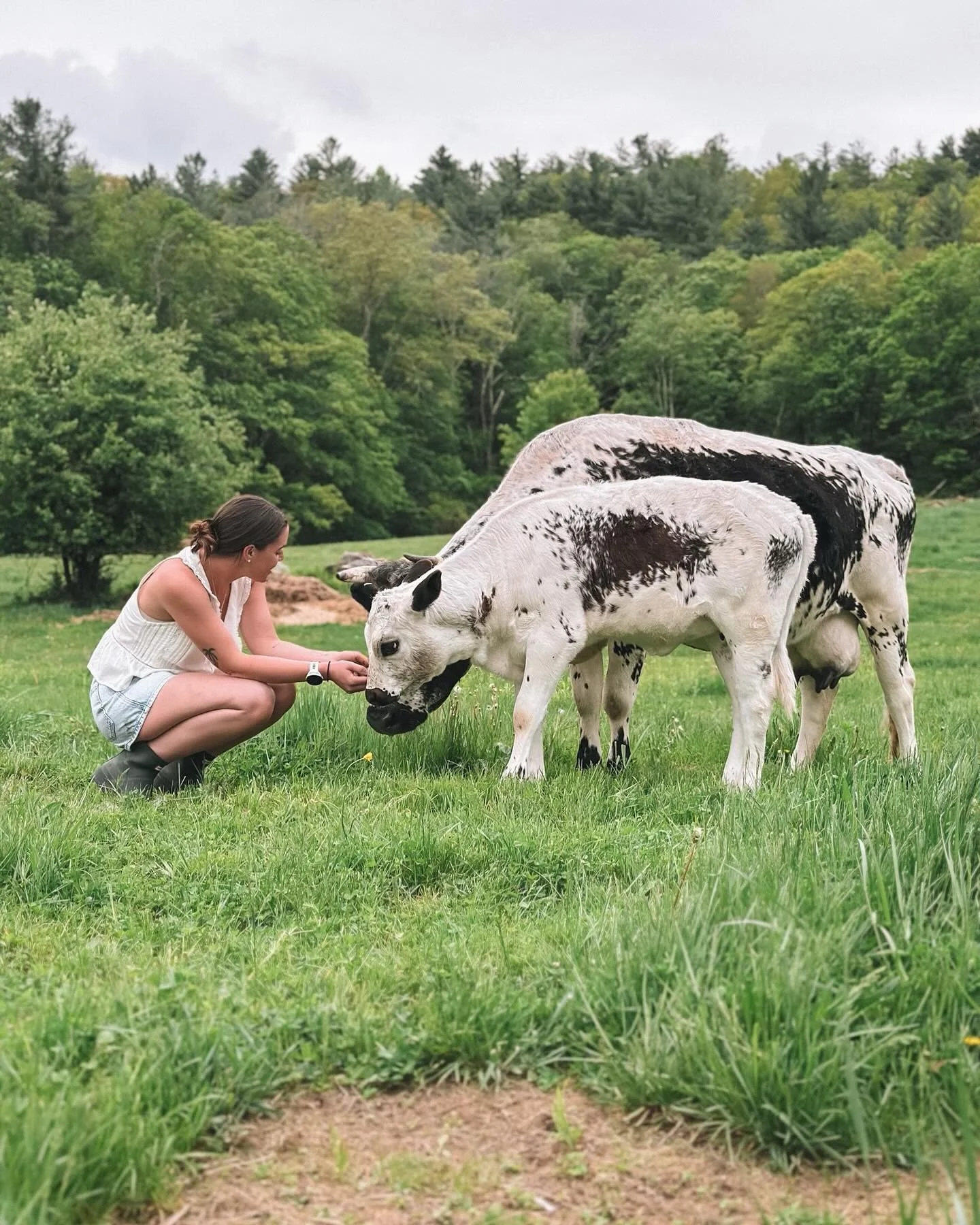 I&rsquo;m a farmer now&hellip; just in case you didn&rsquo;t already know&hellip;.