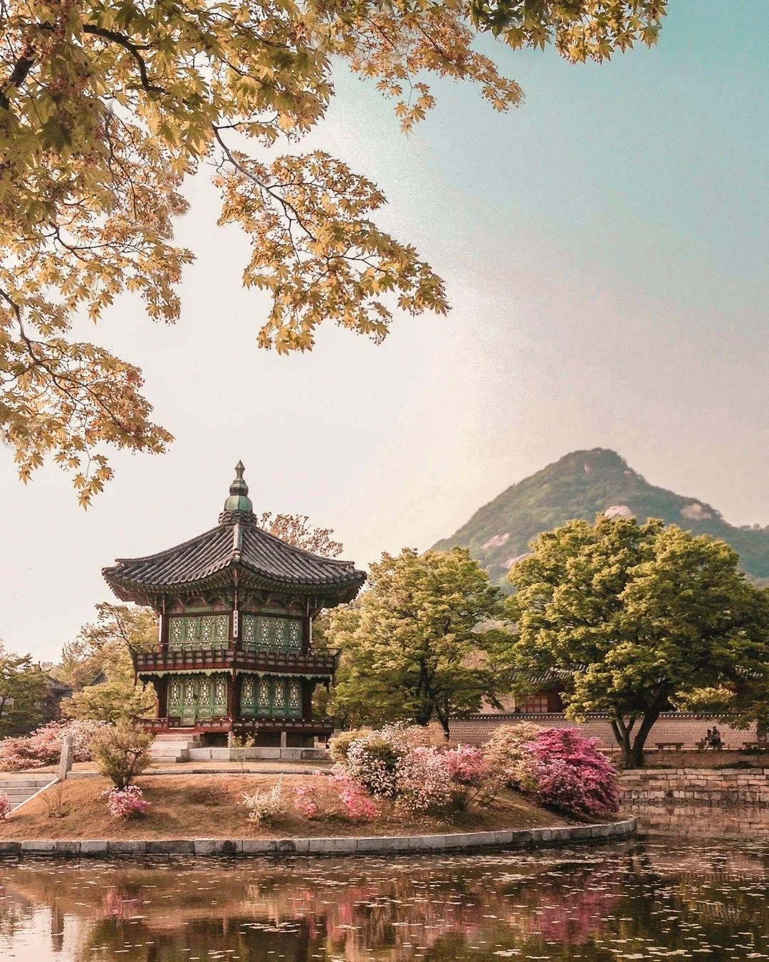 These are the trips we&rsquo;re booking earlier and earlier for clients right now. Not because travel is complicated, but because the most memorable experiences often have limited space.

Japan is at the top of that list. Timing around seasons, secur