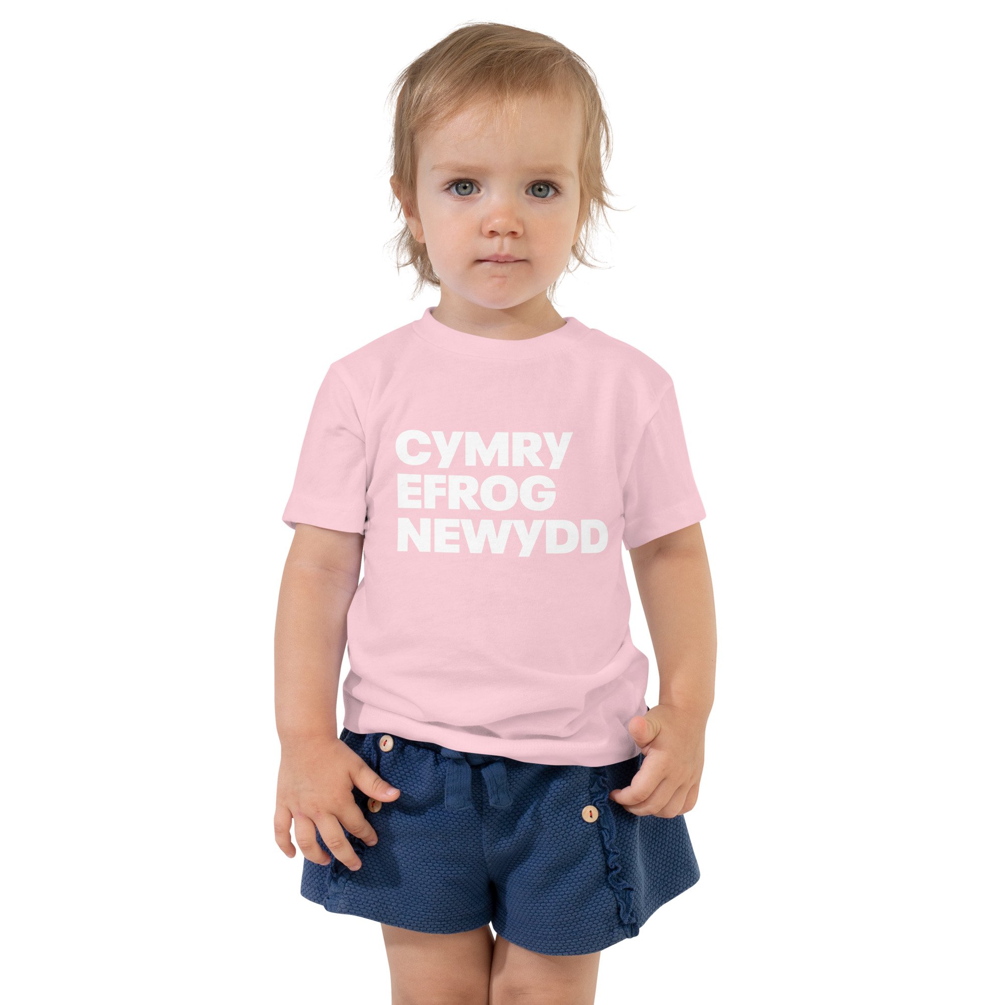 toddler-staple-tee-pink-front-64eeddfacab90.jpg