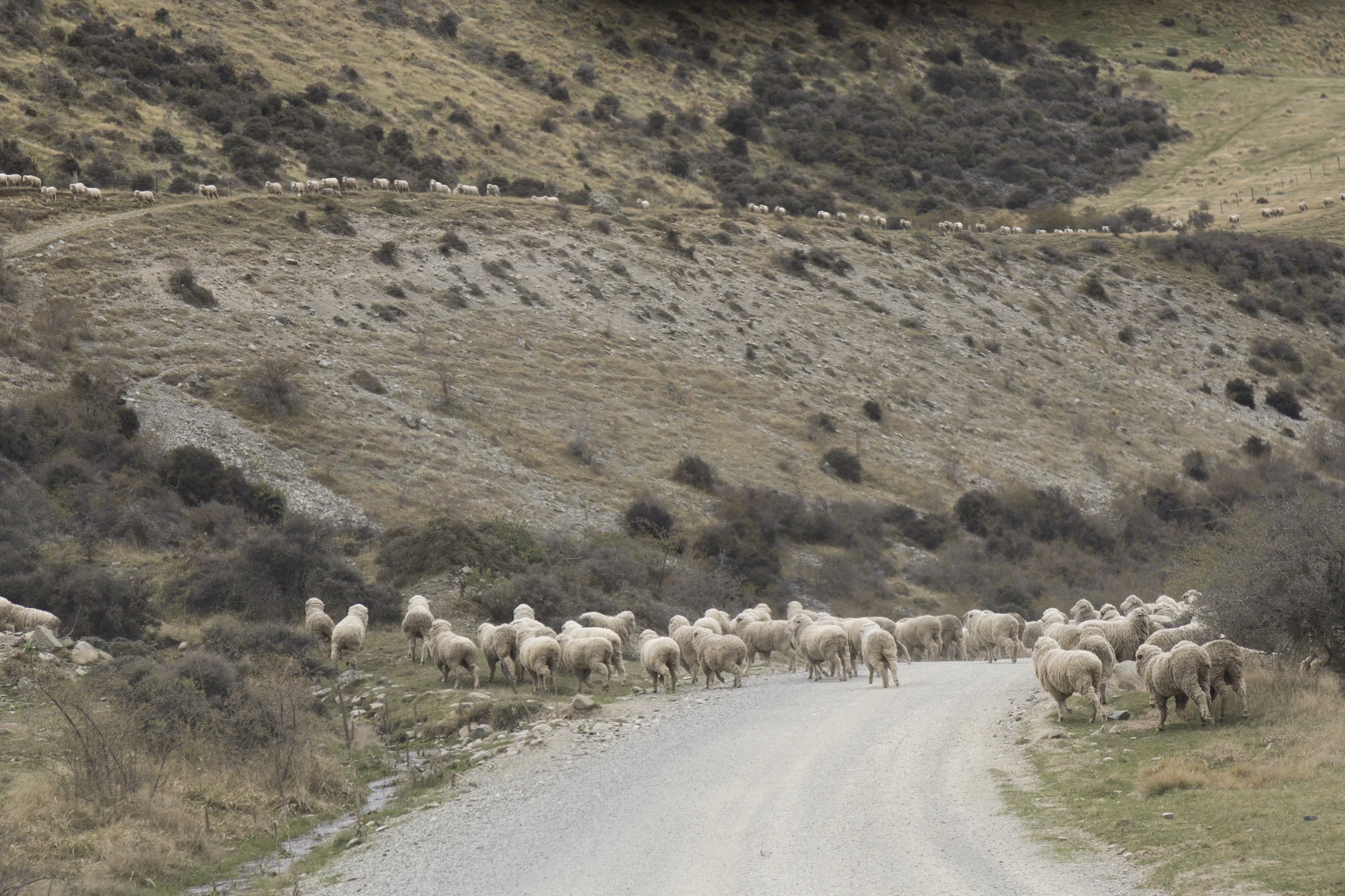 Ohau_Oct17_23.jpg