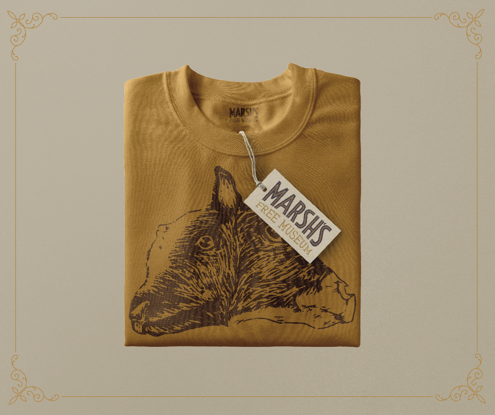 marsh-brand-guidelines3.png