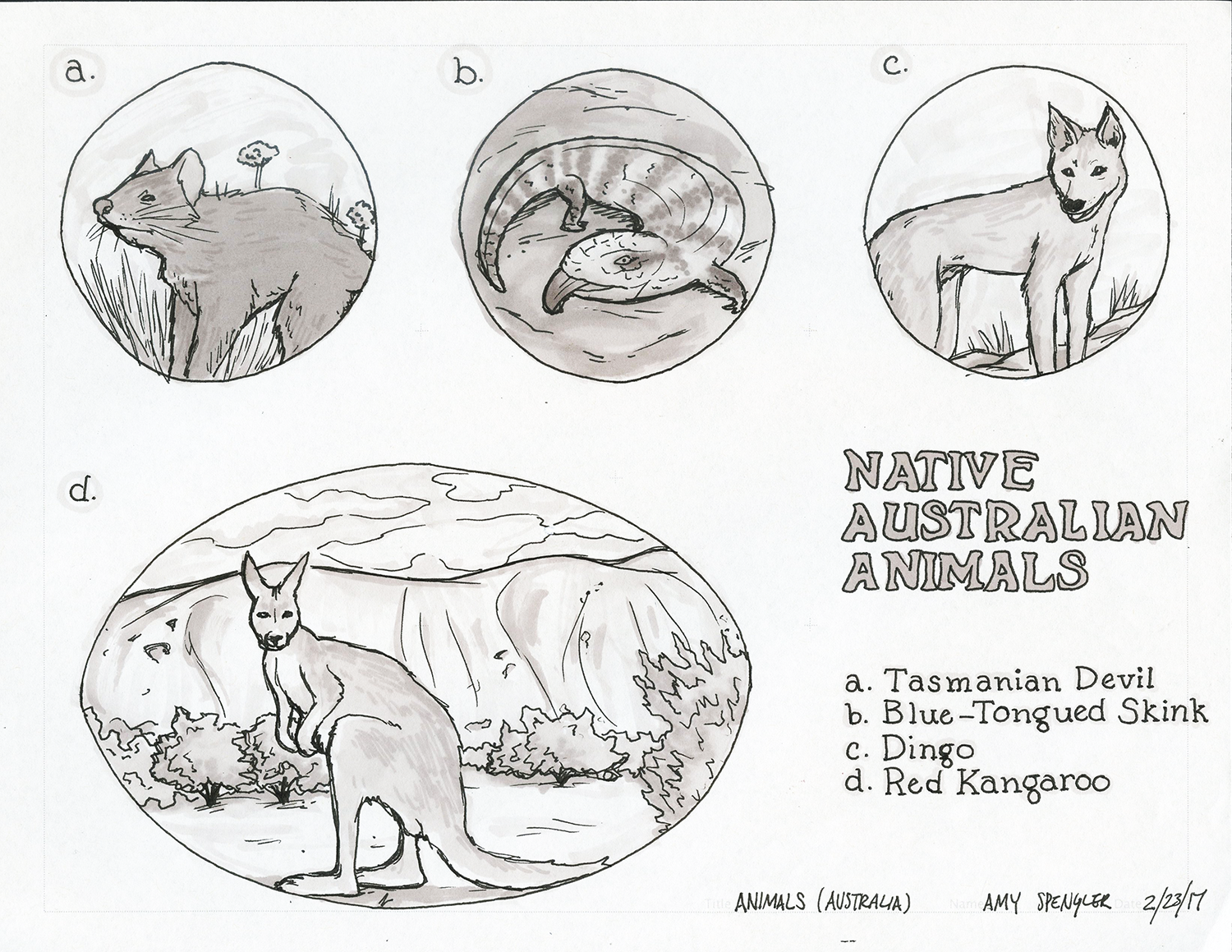 australian-animals.png
