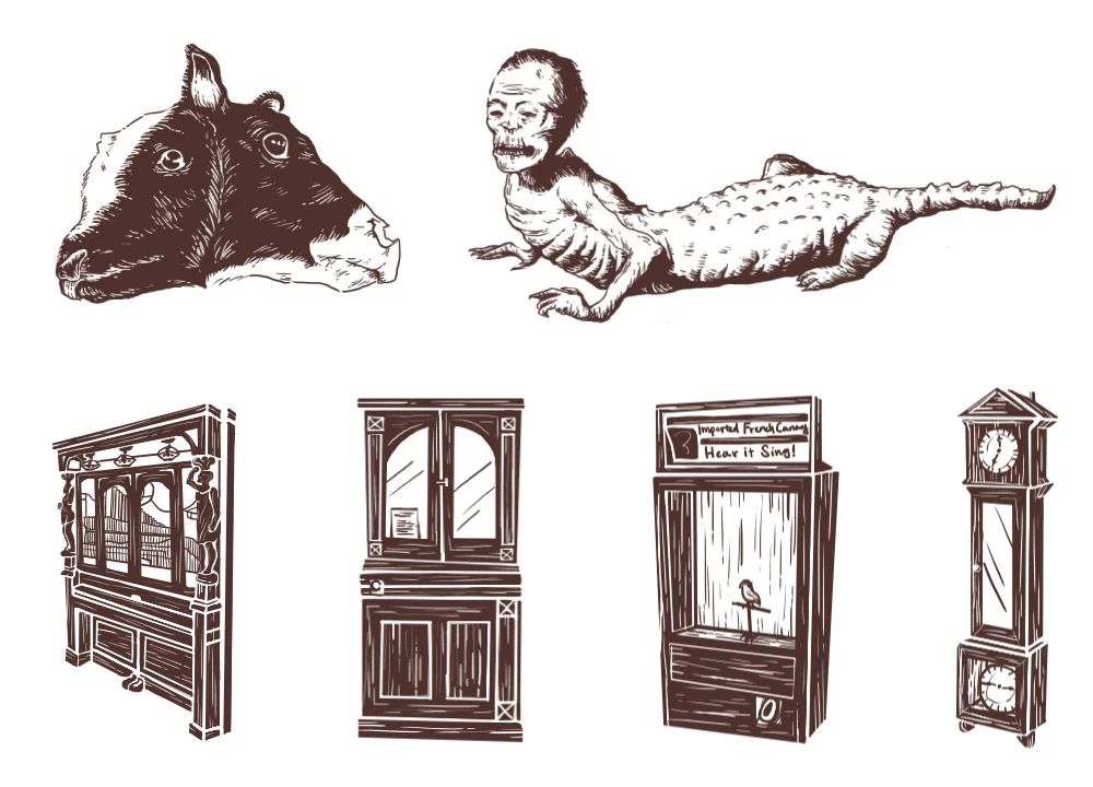 marsh-illustrations.jpg
