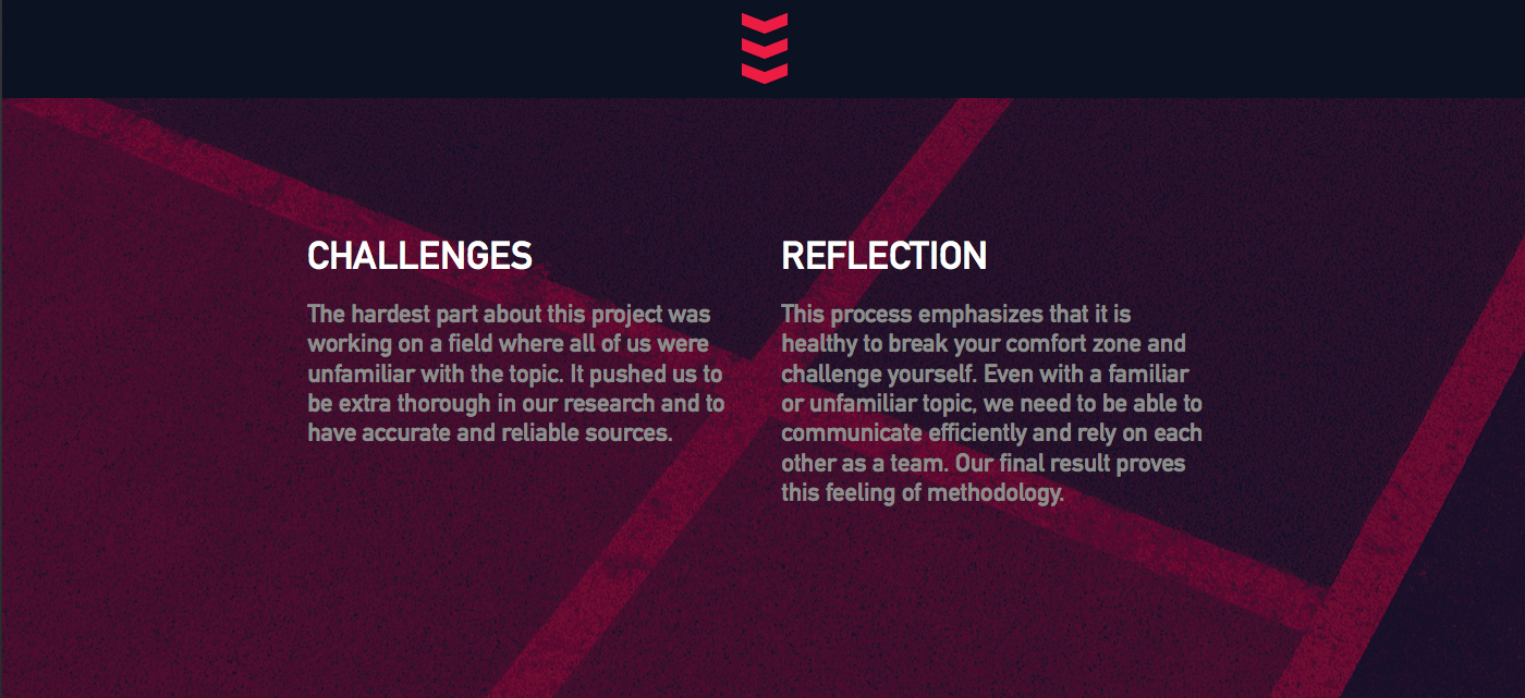 20-challenge-reflection.jpg