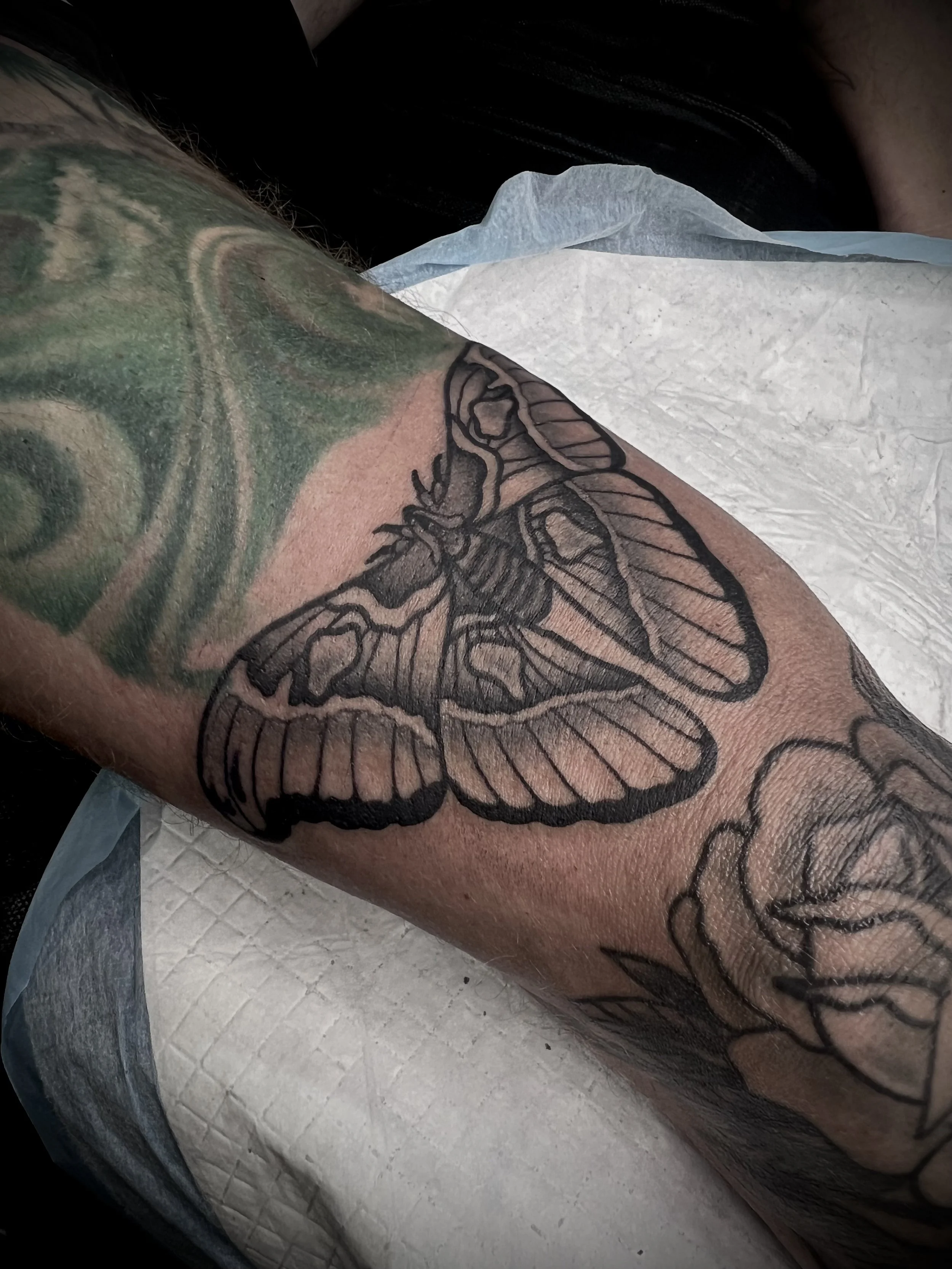 traditional black and grey moth tattoo leg central coast australia
