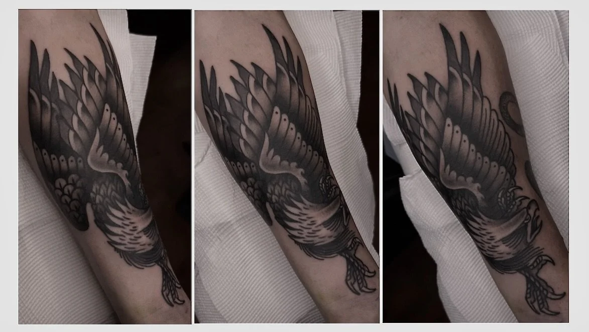 Traditional Eagles! 