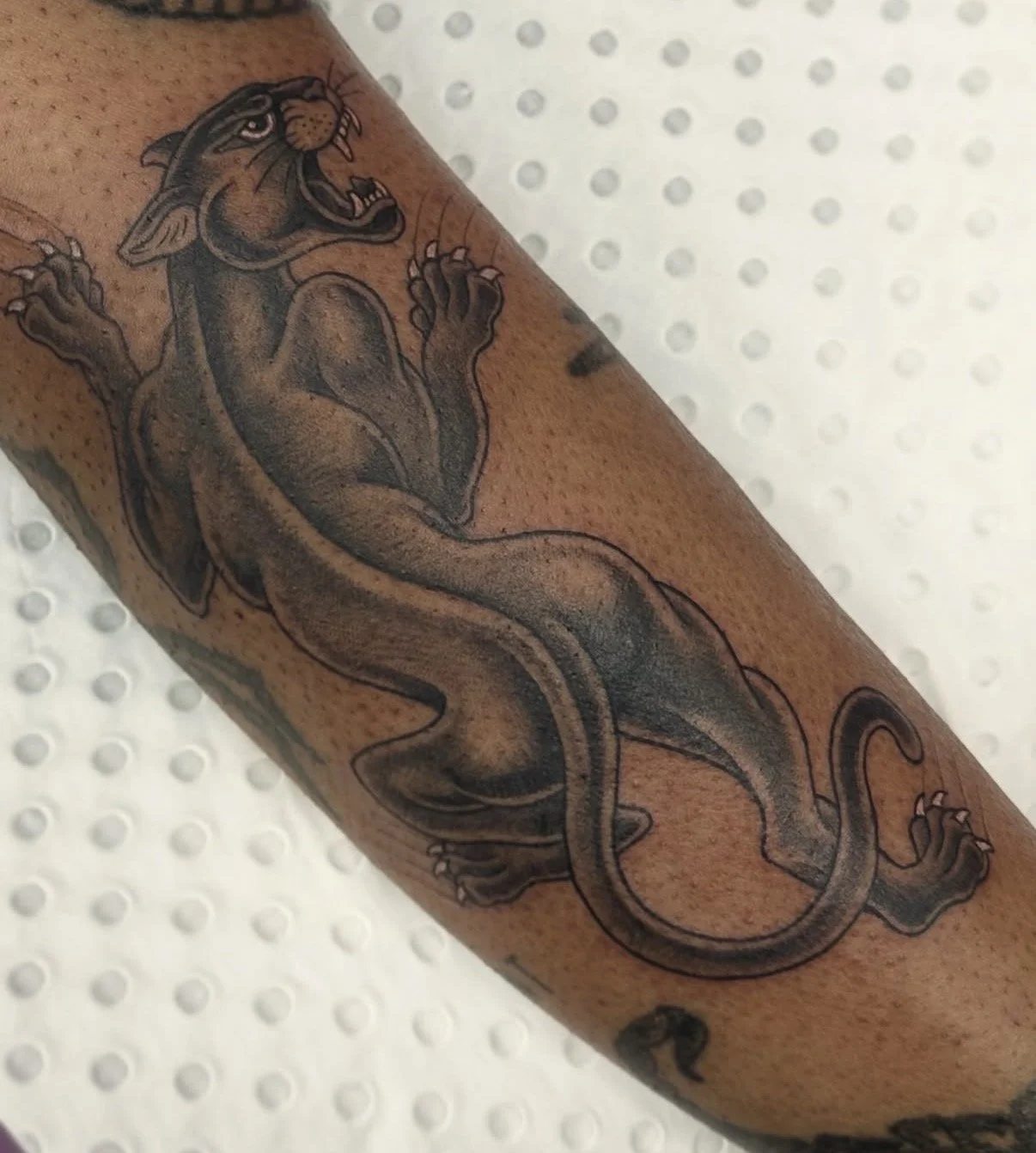 neo traditional black and grey panther tattoo central coast guest artist