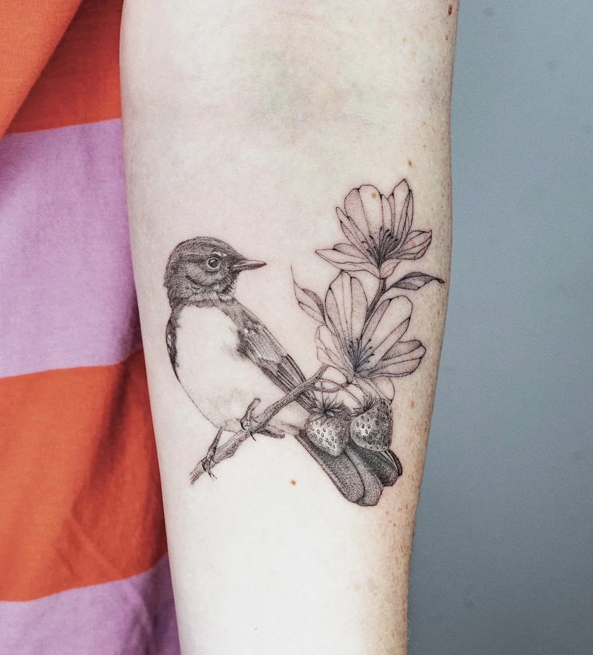 micro realism fine line black and grey bird tattoo central coast tattoo studio new south whales australia
