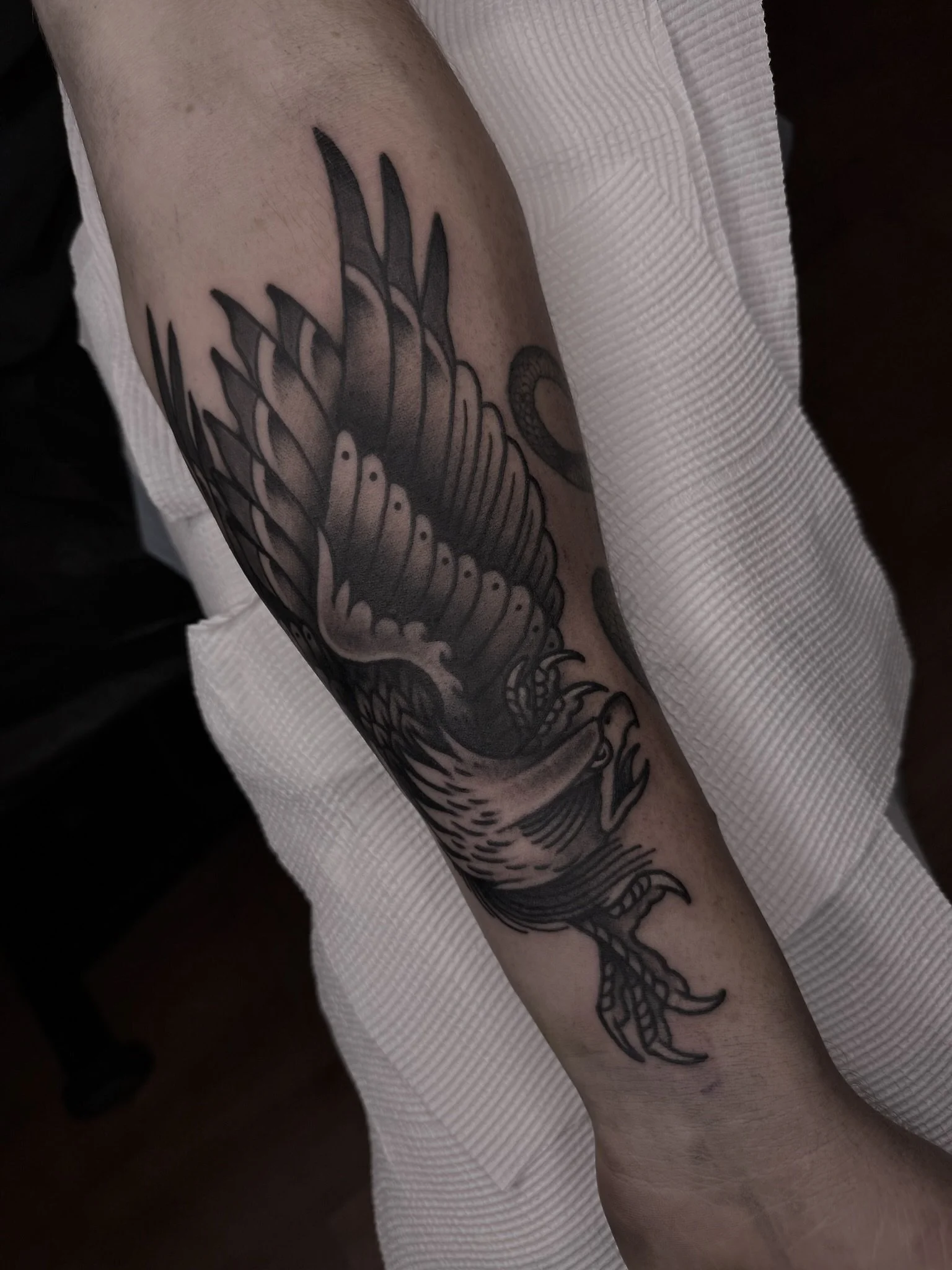 eagle tattoo black and grey old traditional forearm