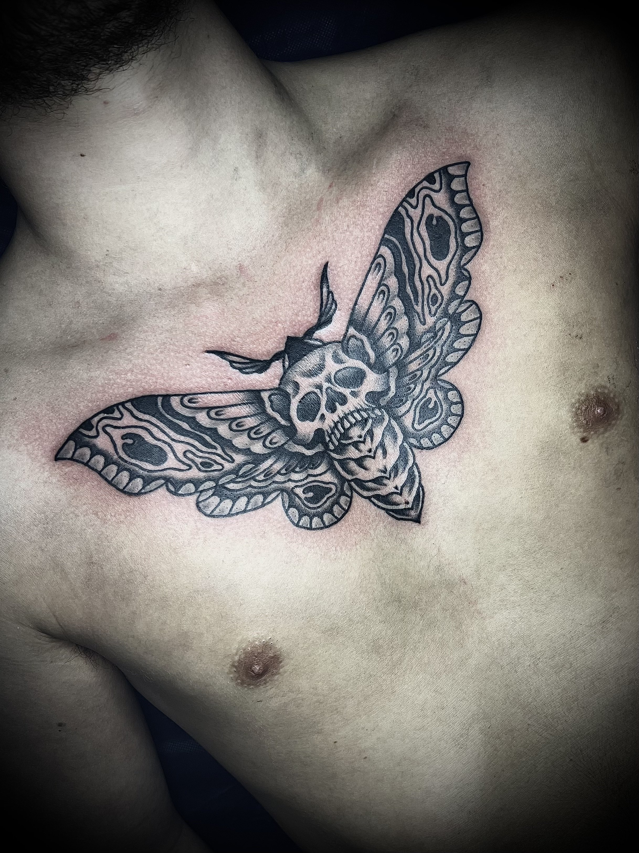 traditional moth tattoo on the chest