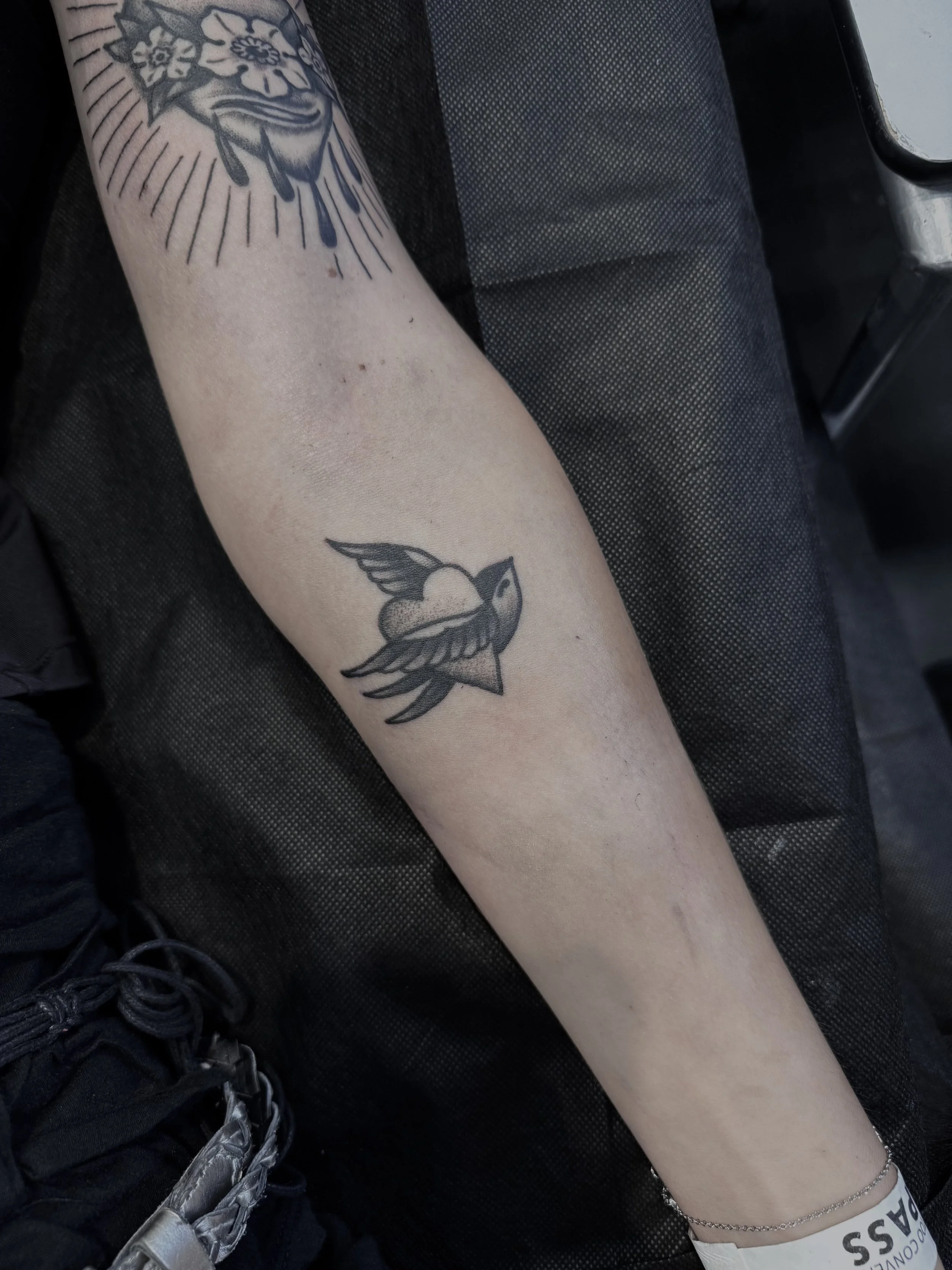 small black and grey swallow tattoo central coast