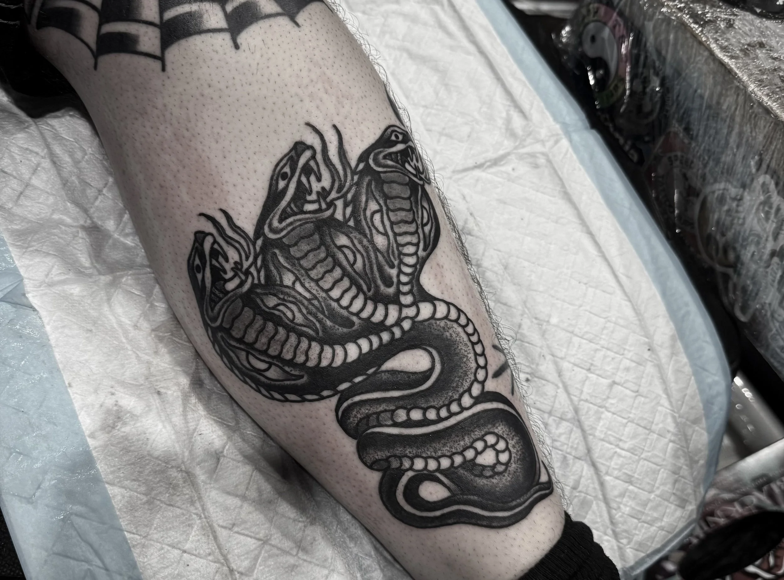 traditional three headed snake tattoo leg central coast australia