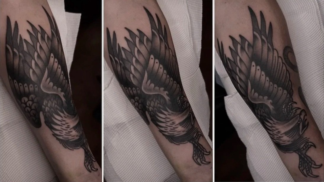 Traditional black and grey eagle tattoo forearm
