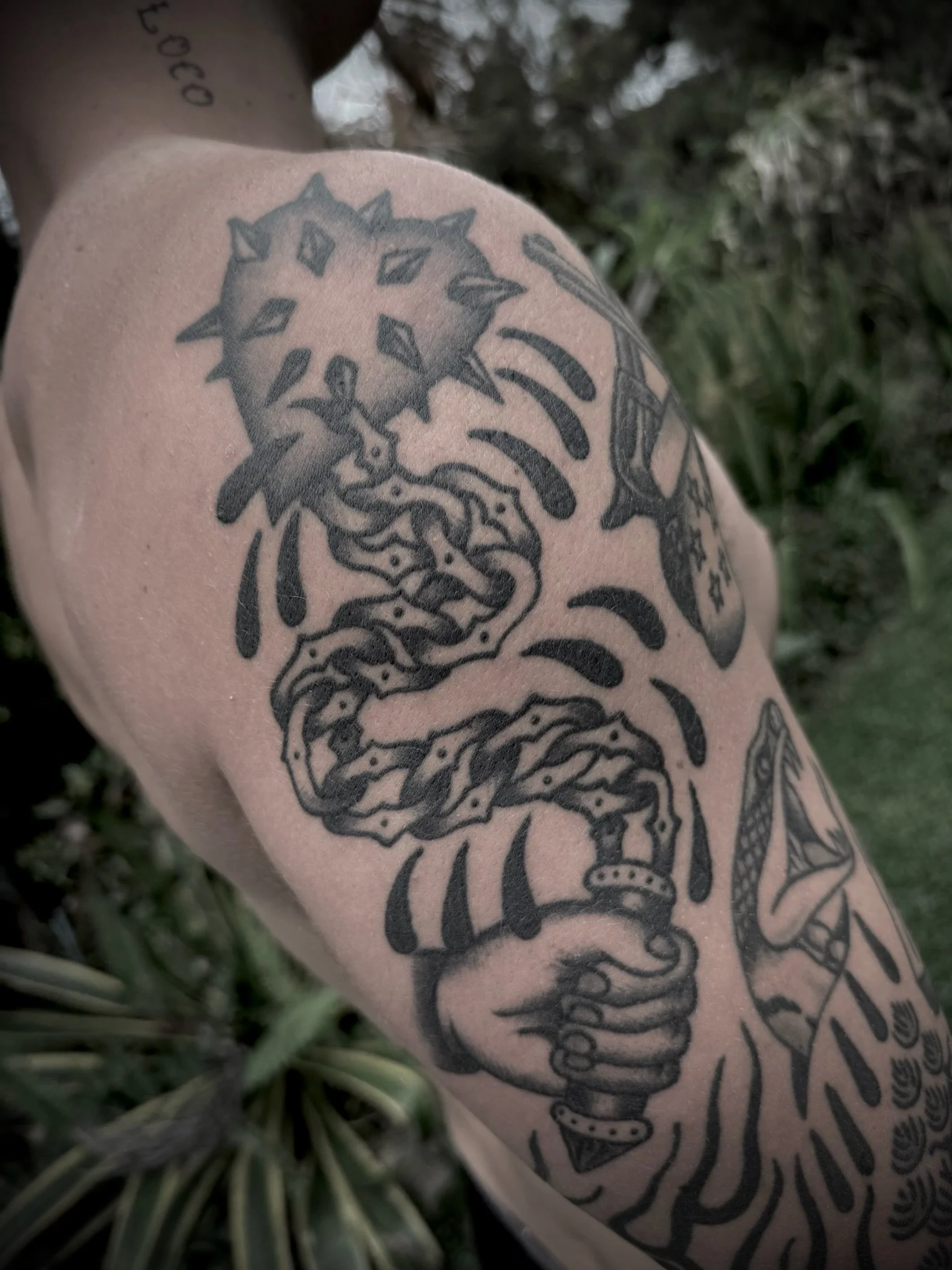 traditional flail tattoo central coast australia
