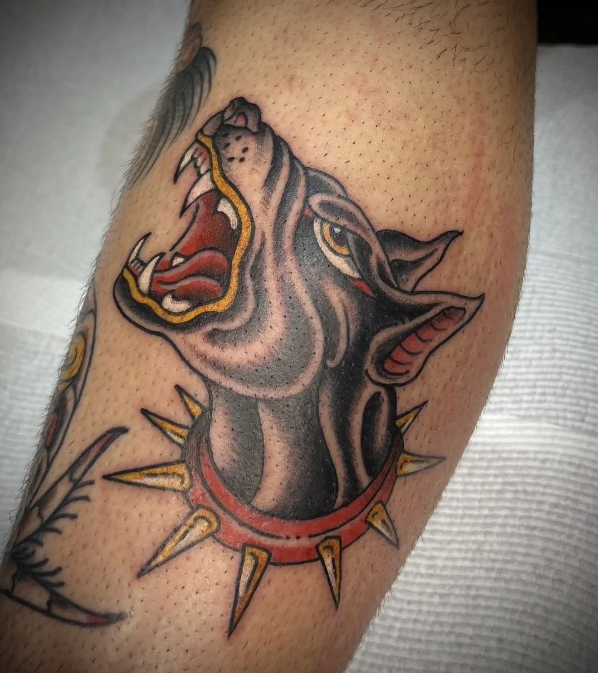 colour traditional dog tattoo guest artist central coast tattoo studio