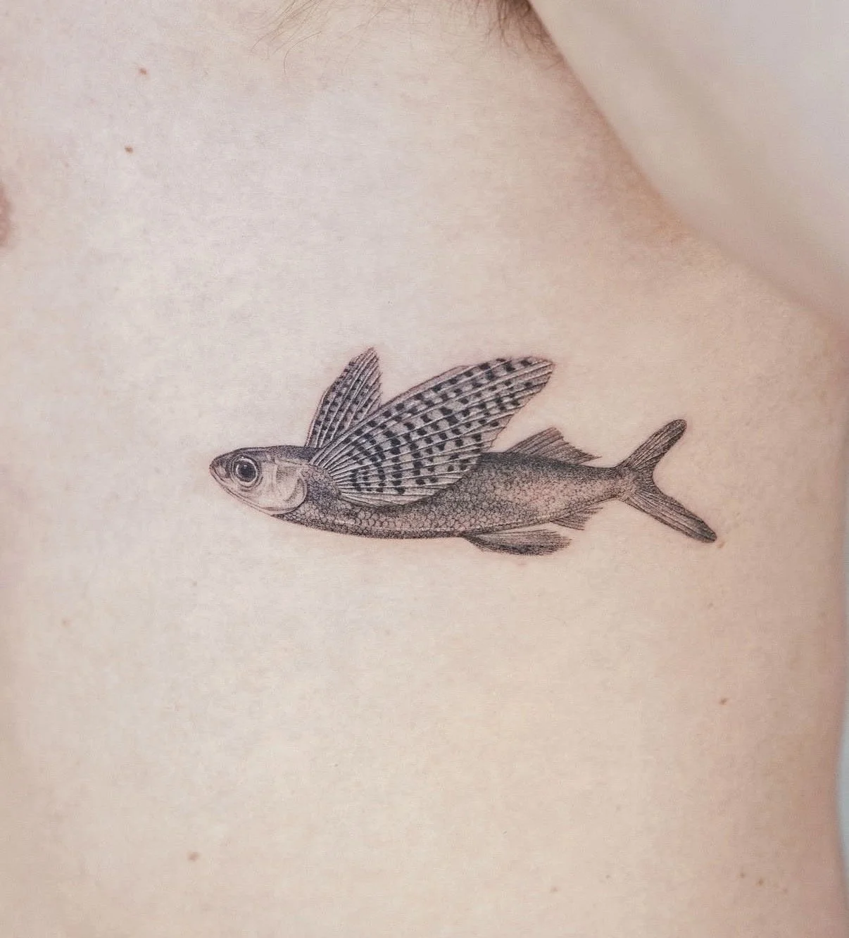 micro realism flying fish tattoo black and grey