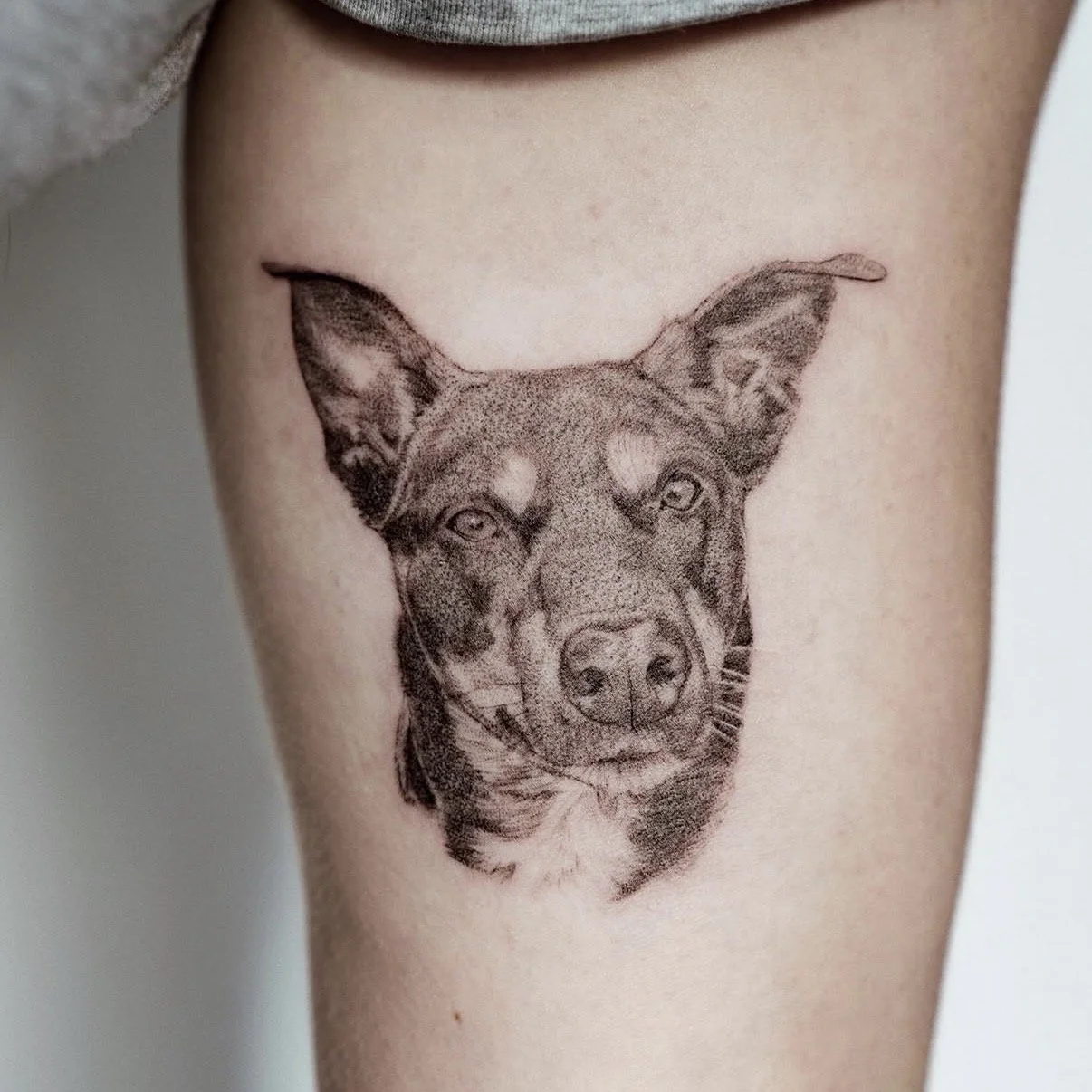 micro reaism pet portrait central coast tattoo studio