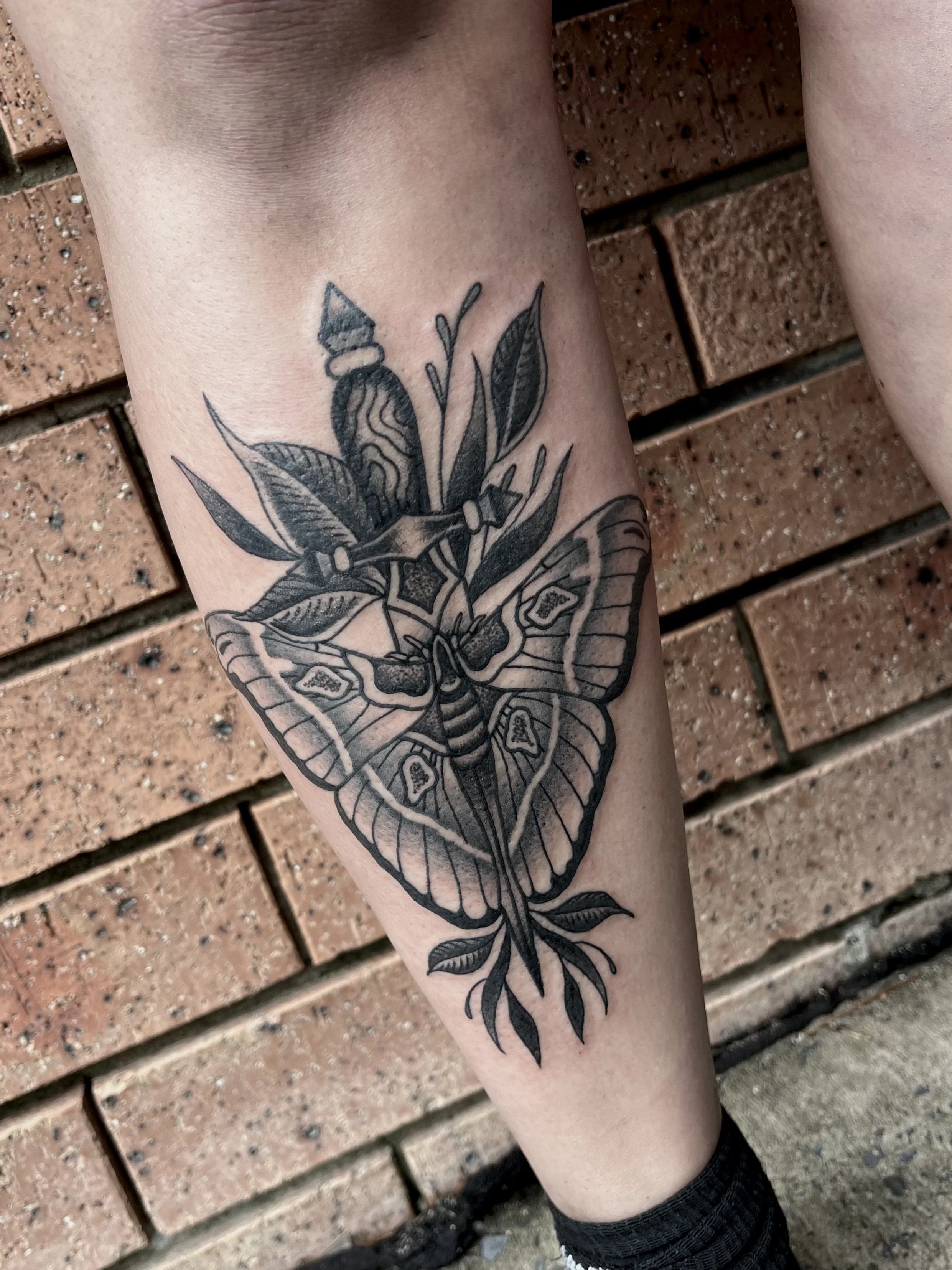 traditional black and grey butterfly tattoo on the leg central coast australia