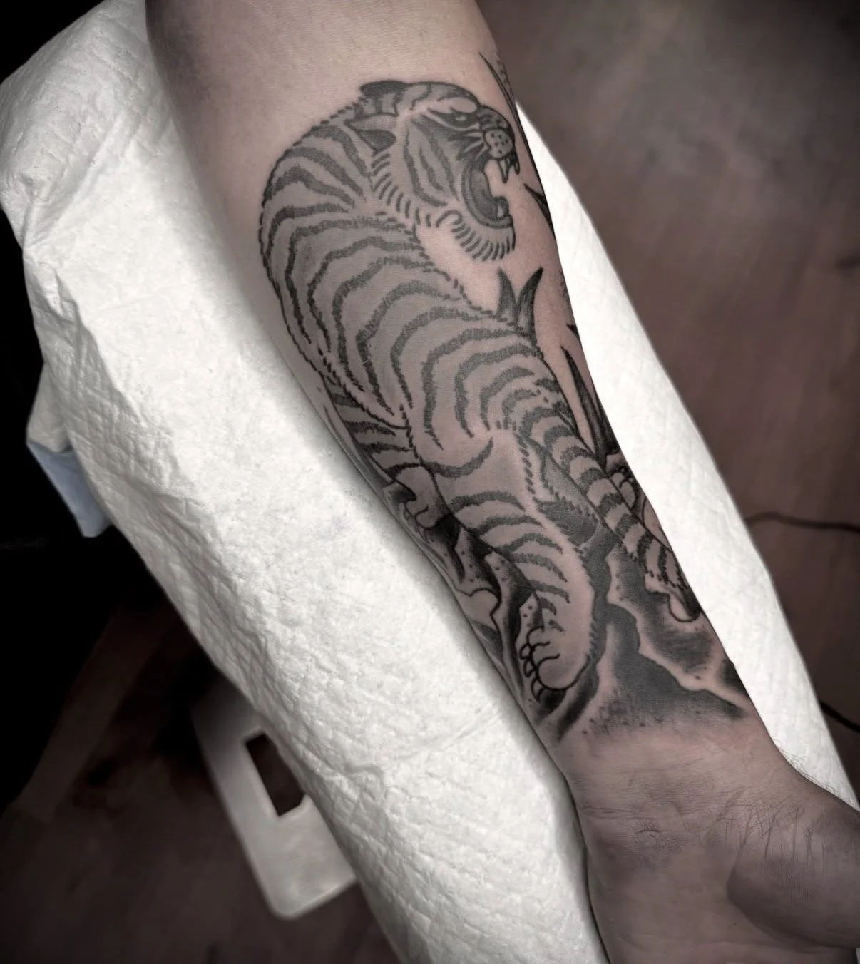 traditional tiger tattoo on arm black and grey central coast tattoo studio