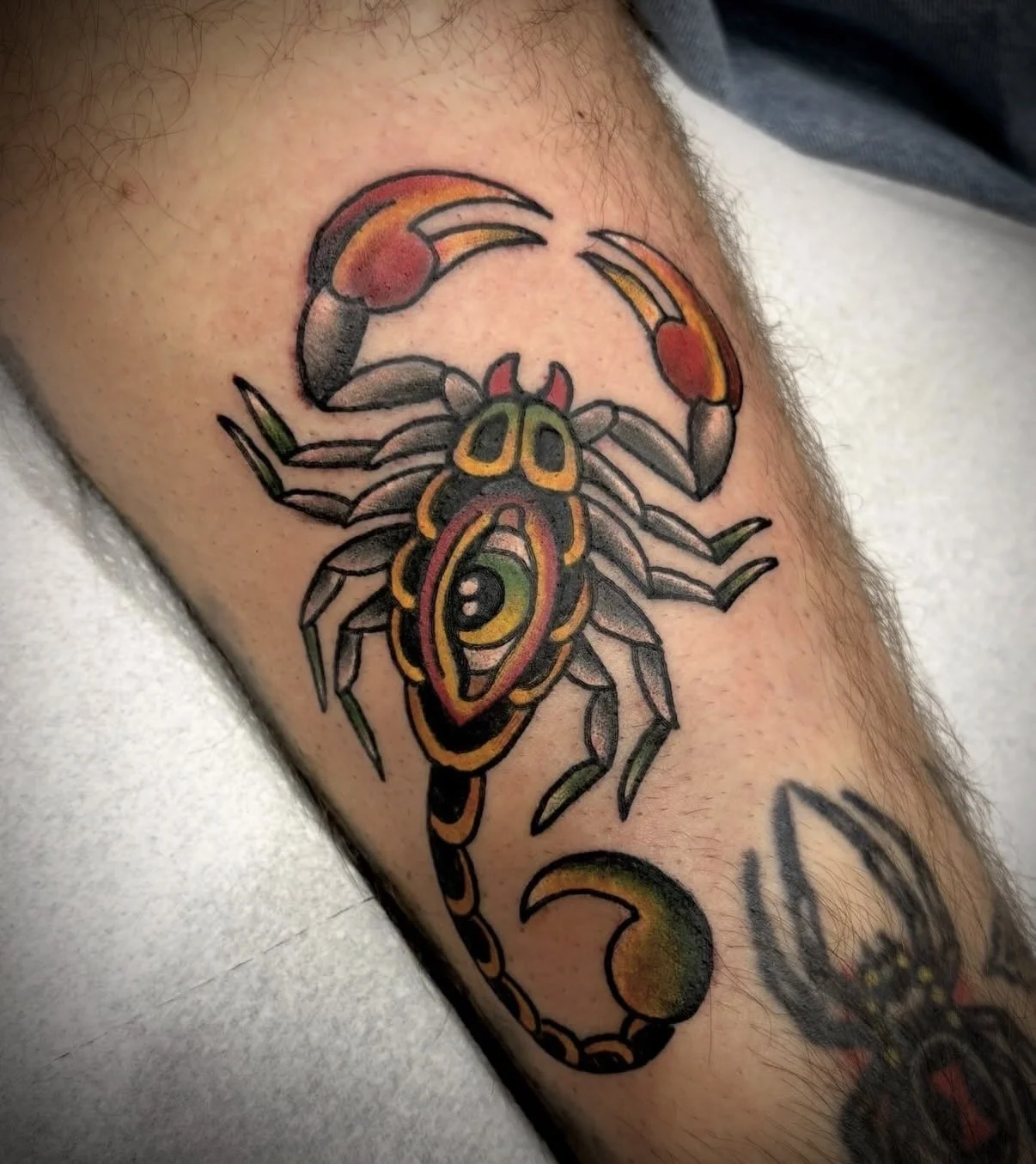 colour traditional scorpion tattoo central coast guest artist