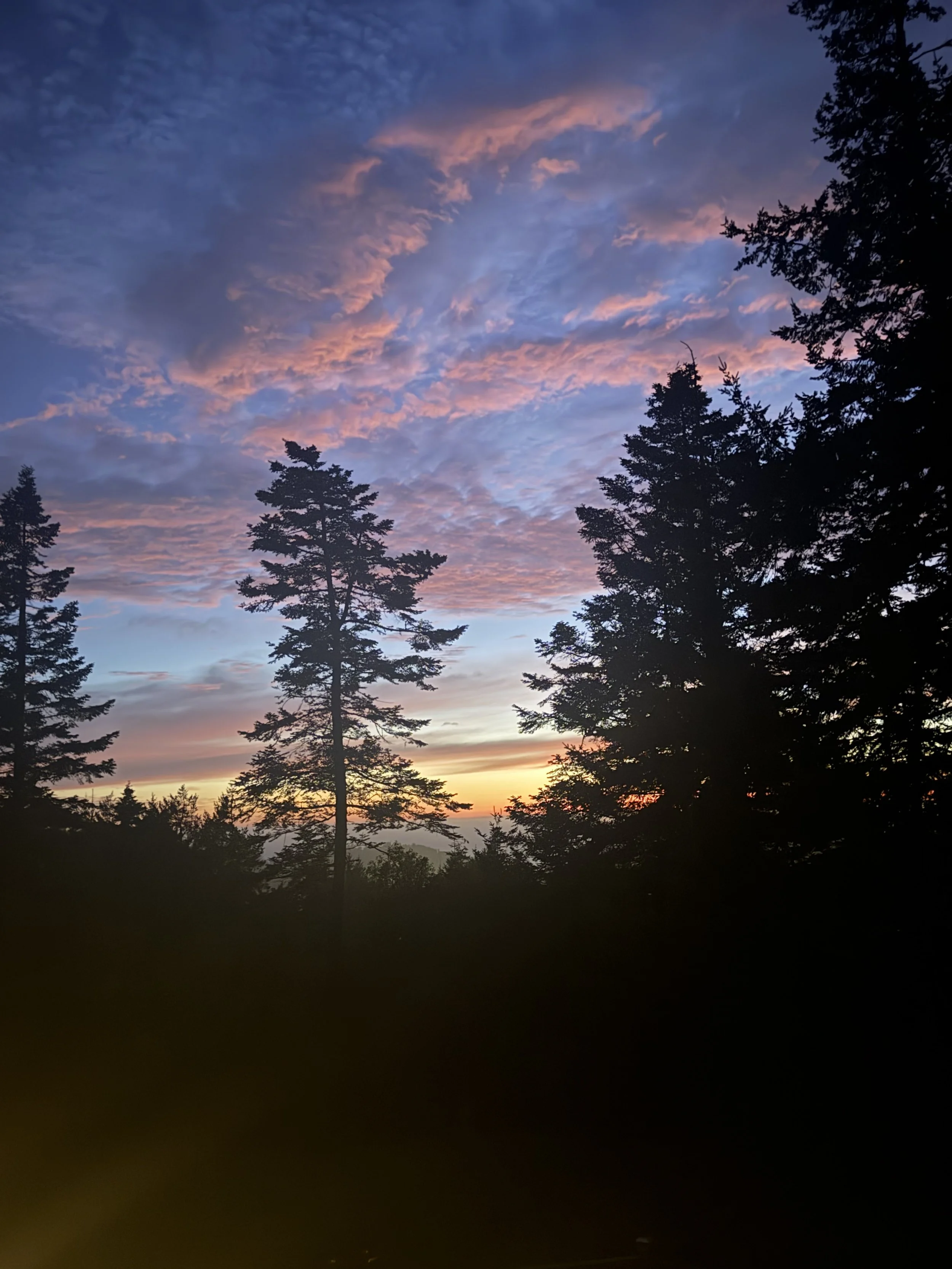 IMG_1046.jpeg