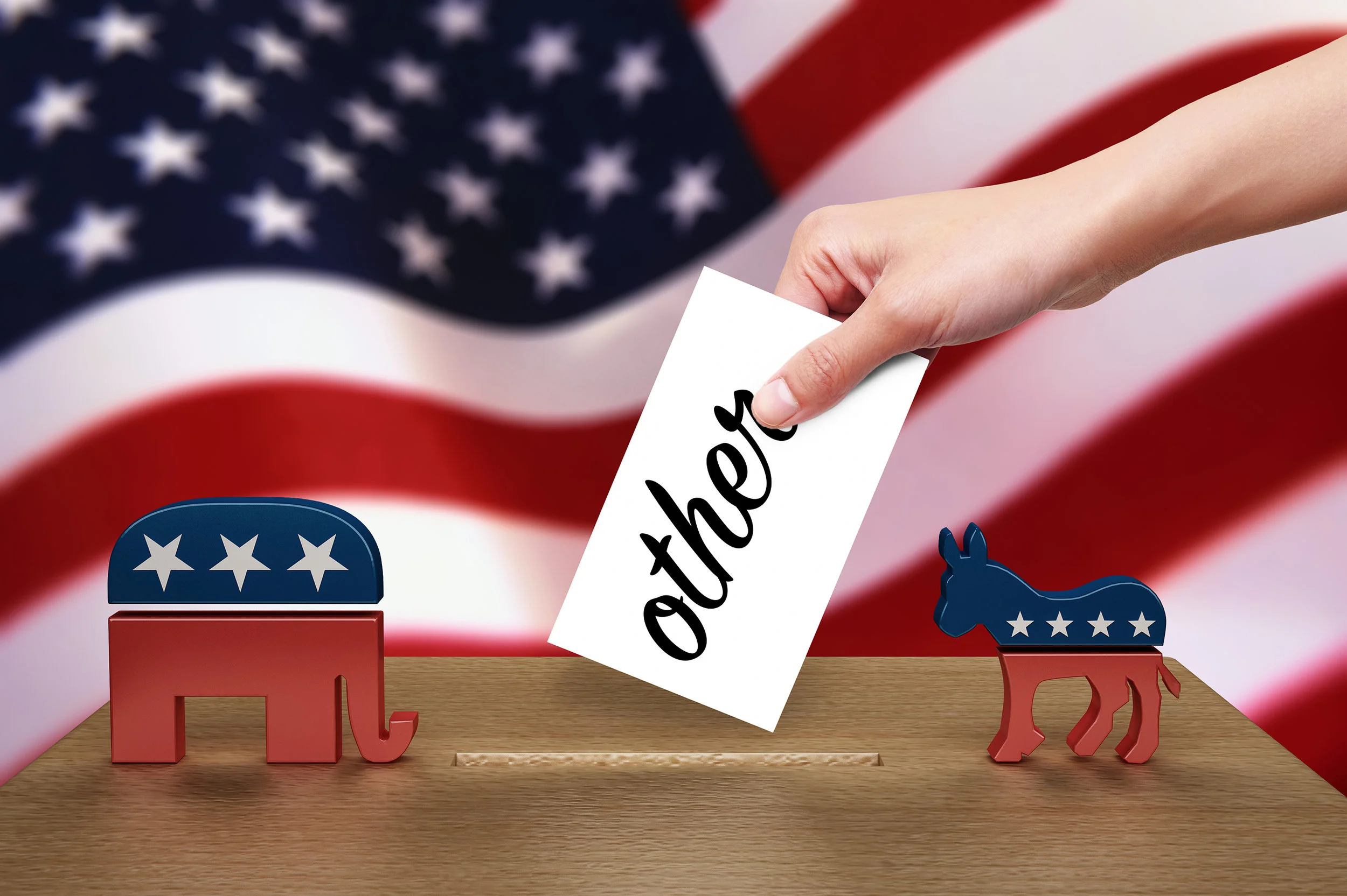 Third Party Candidacies
