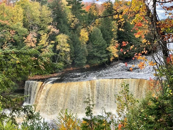 Fall