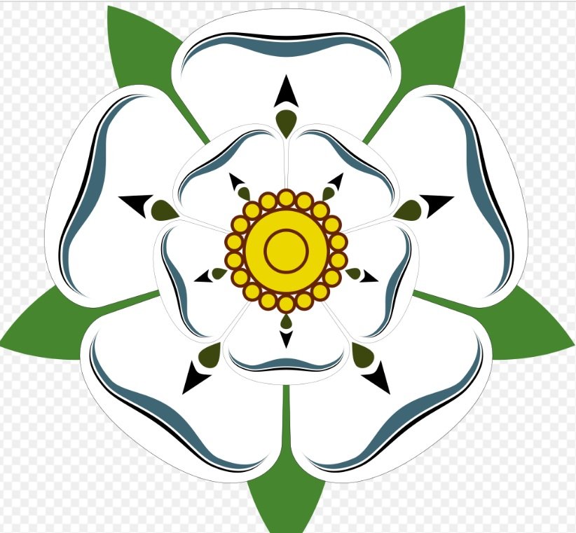 white rose of york.jpg