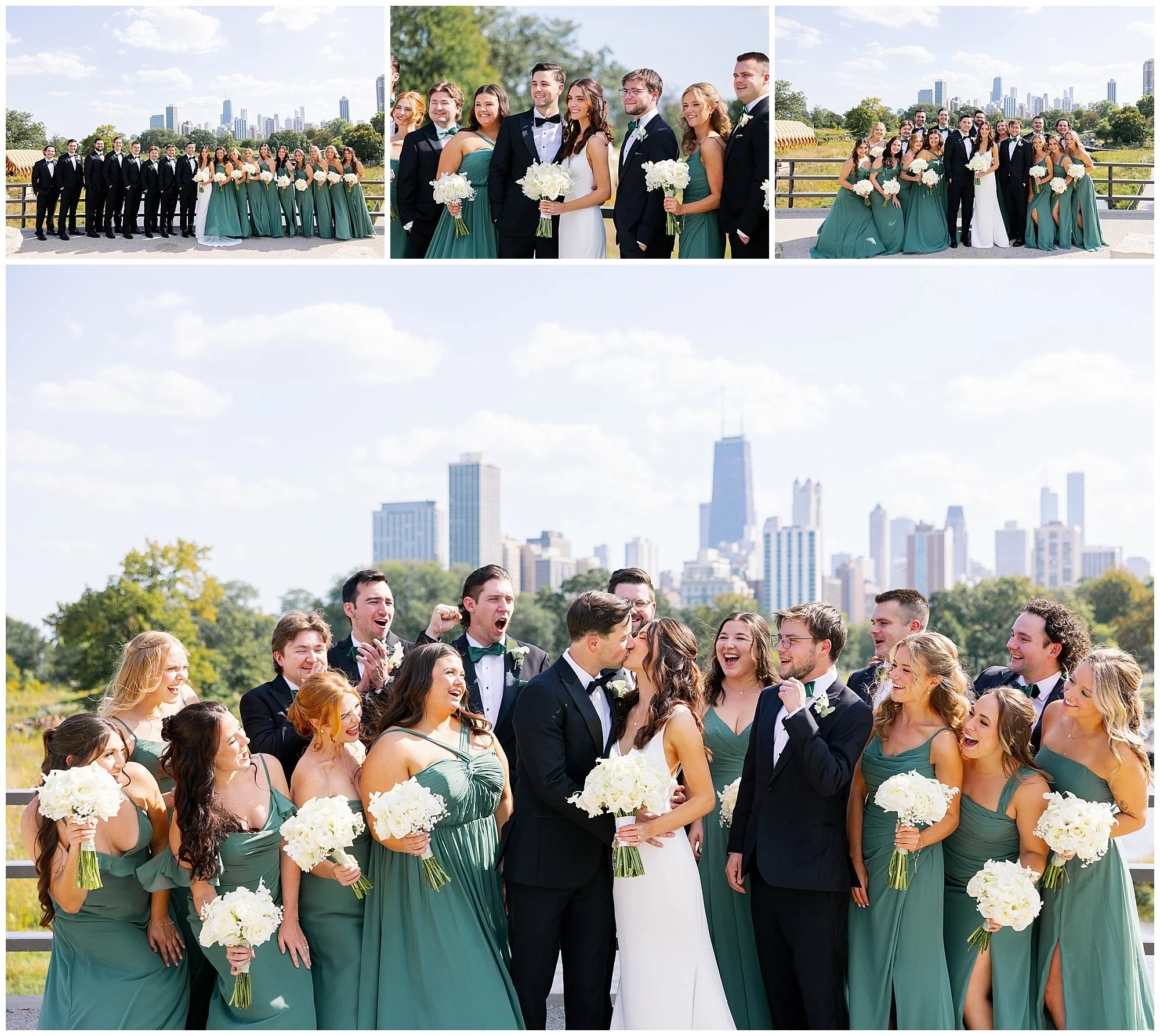  bridal party at lincoln park zoo south pond 