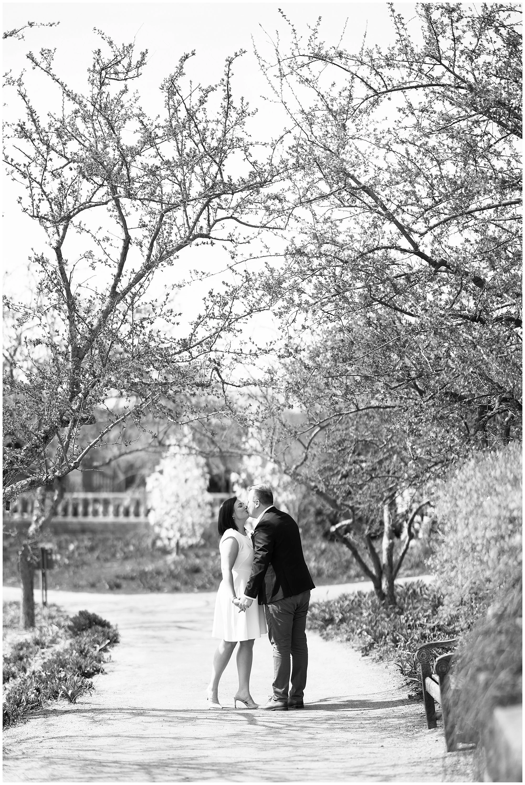  Morton Arboretum Spring Engagement Photographer 