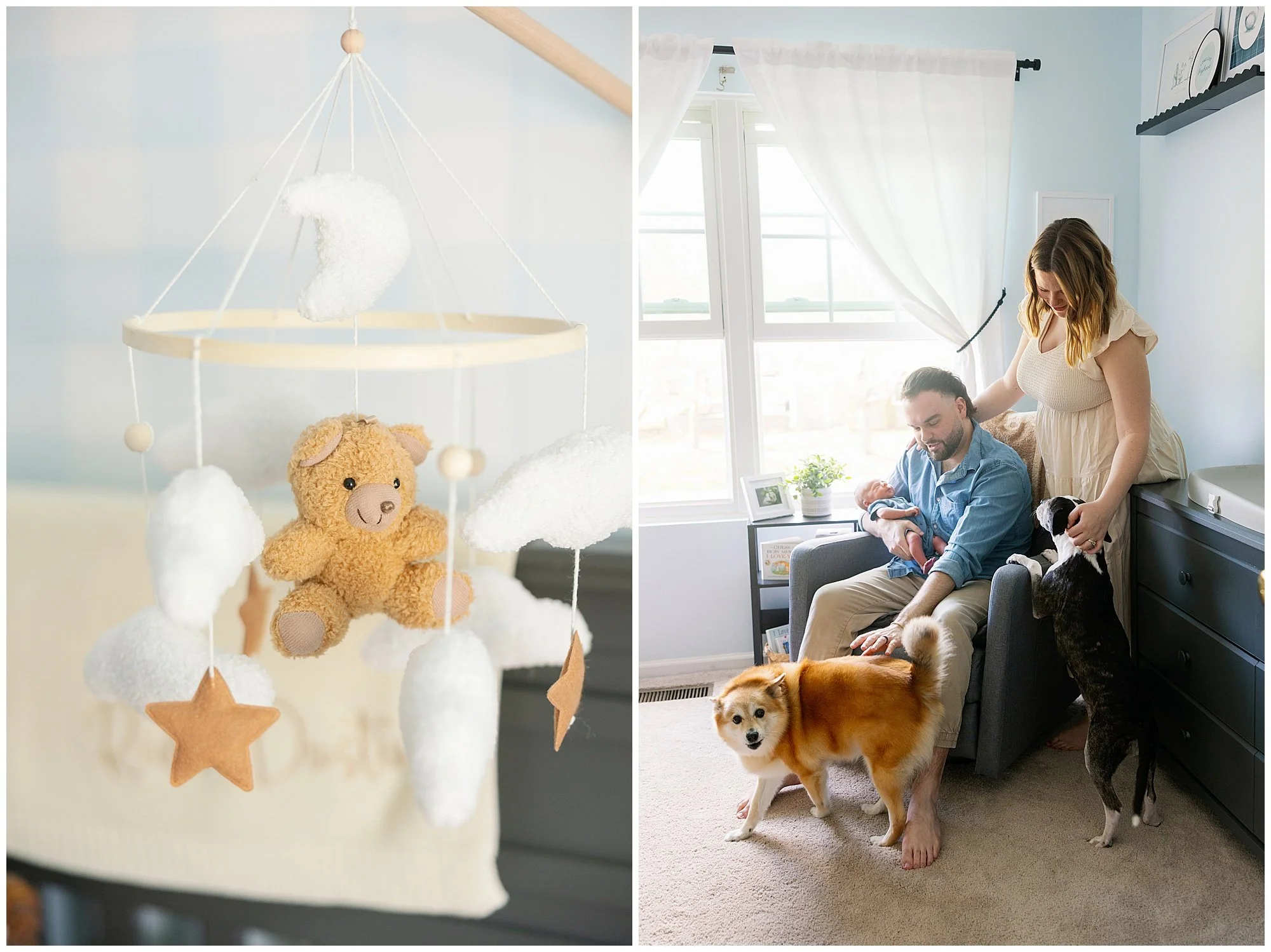  lake villa lifestyle in home newborn photographer with dogs 