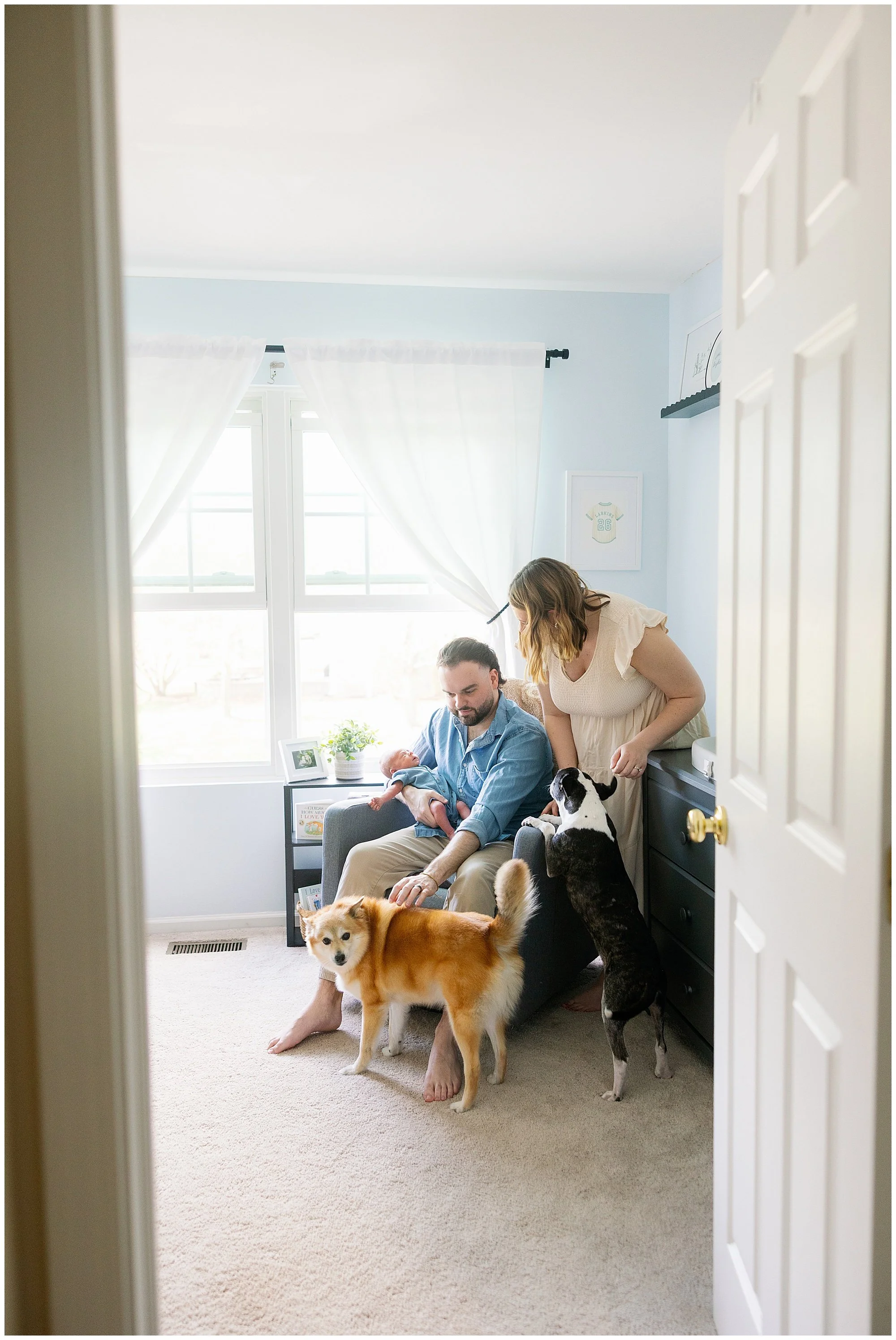  lake villa lifestyle in home newborn photographer with dogs 