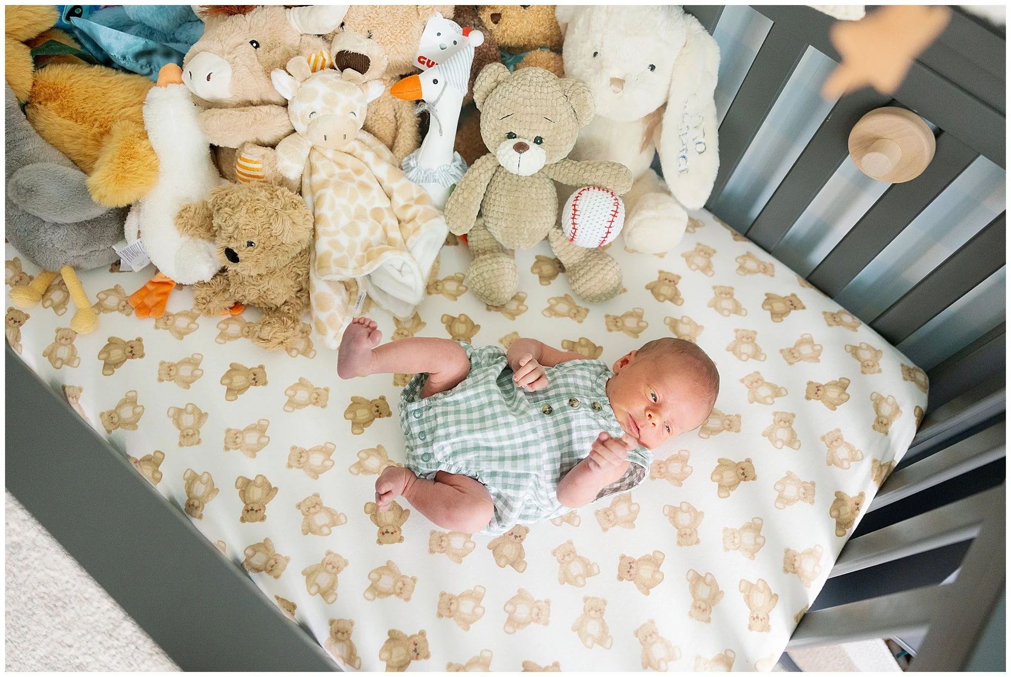  lake villa lifestyle in home newborn photographer 