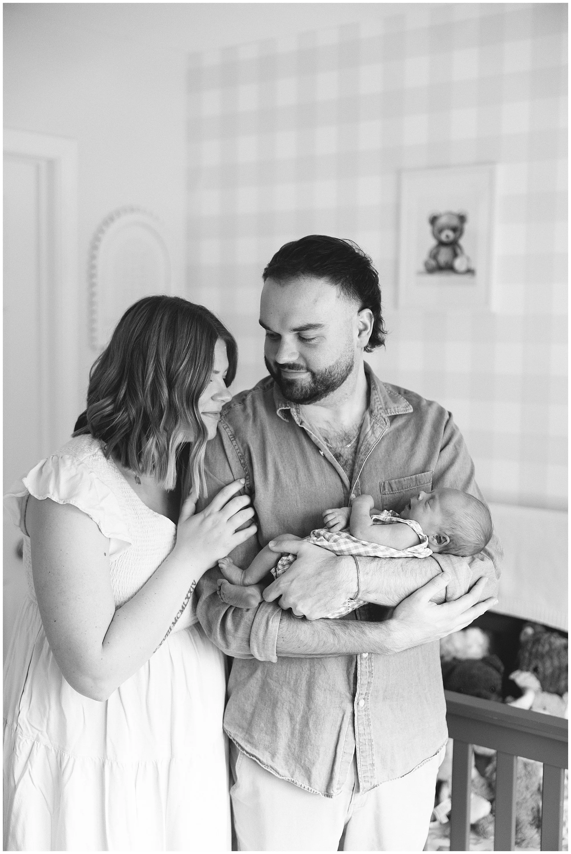  lake villa lifestyle in home newborn photographer 