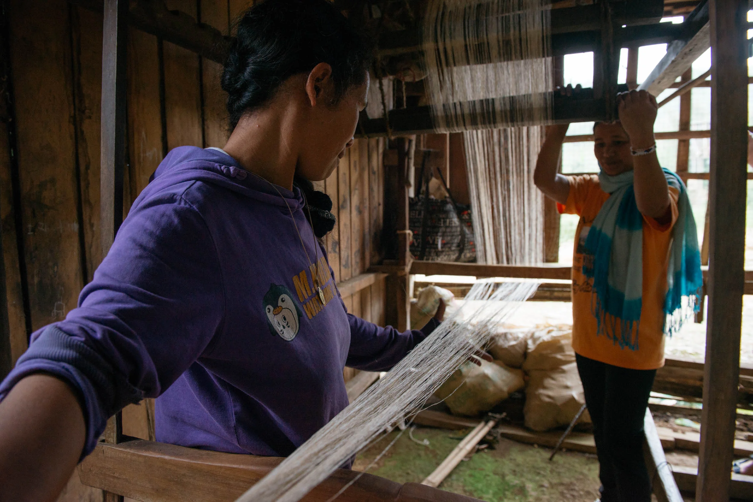 As the dyed-lanot dry, the assembling of the hablanan or the pedal loom starts. The art of sambud or feeding the thread in the hablanan, from warping through circling the threads to the moton up to the arranging of threads according to its design’s pattern to the heddle then into the suludan/sudlay or comb-like three hundred holed reed, secures the warp in place. 