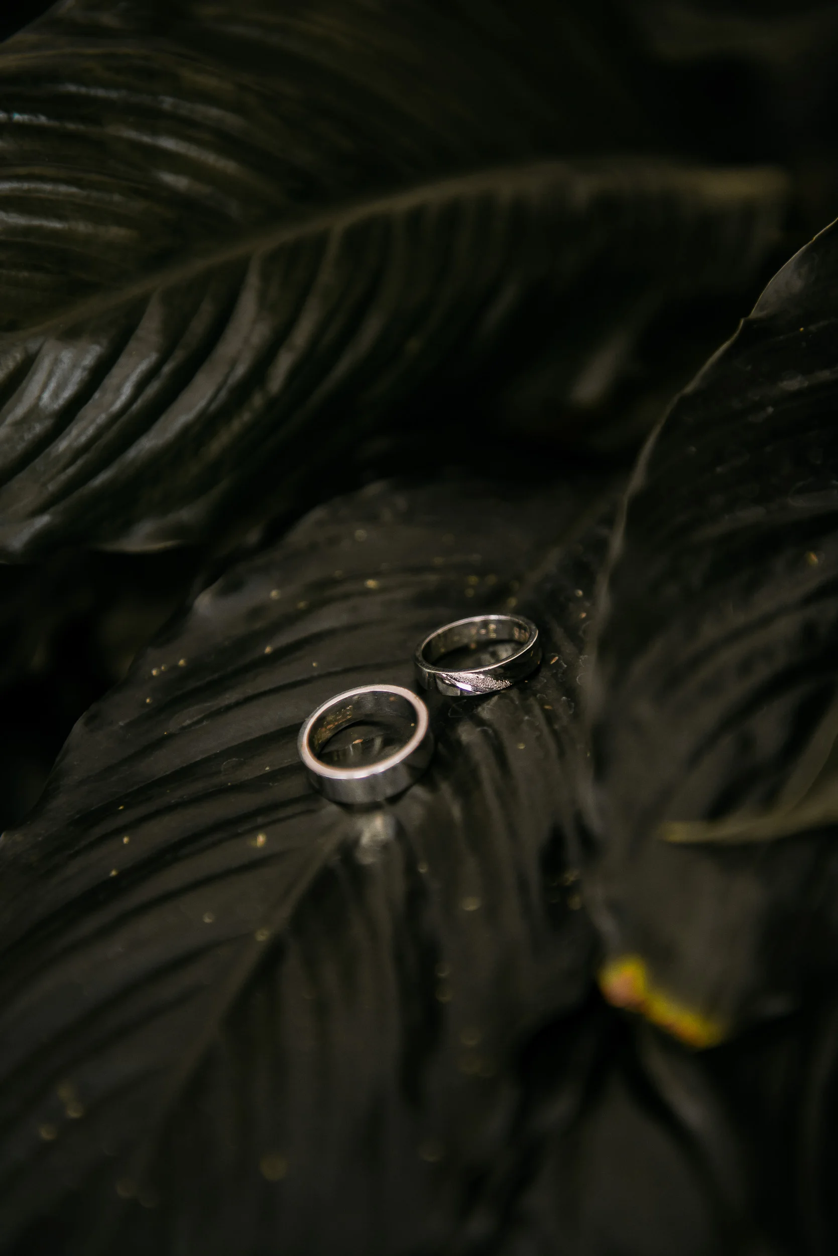 074-ActualWedding-SS.jpg