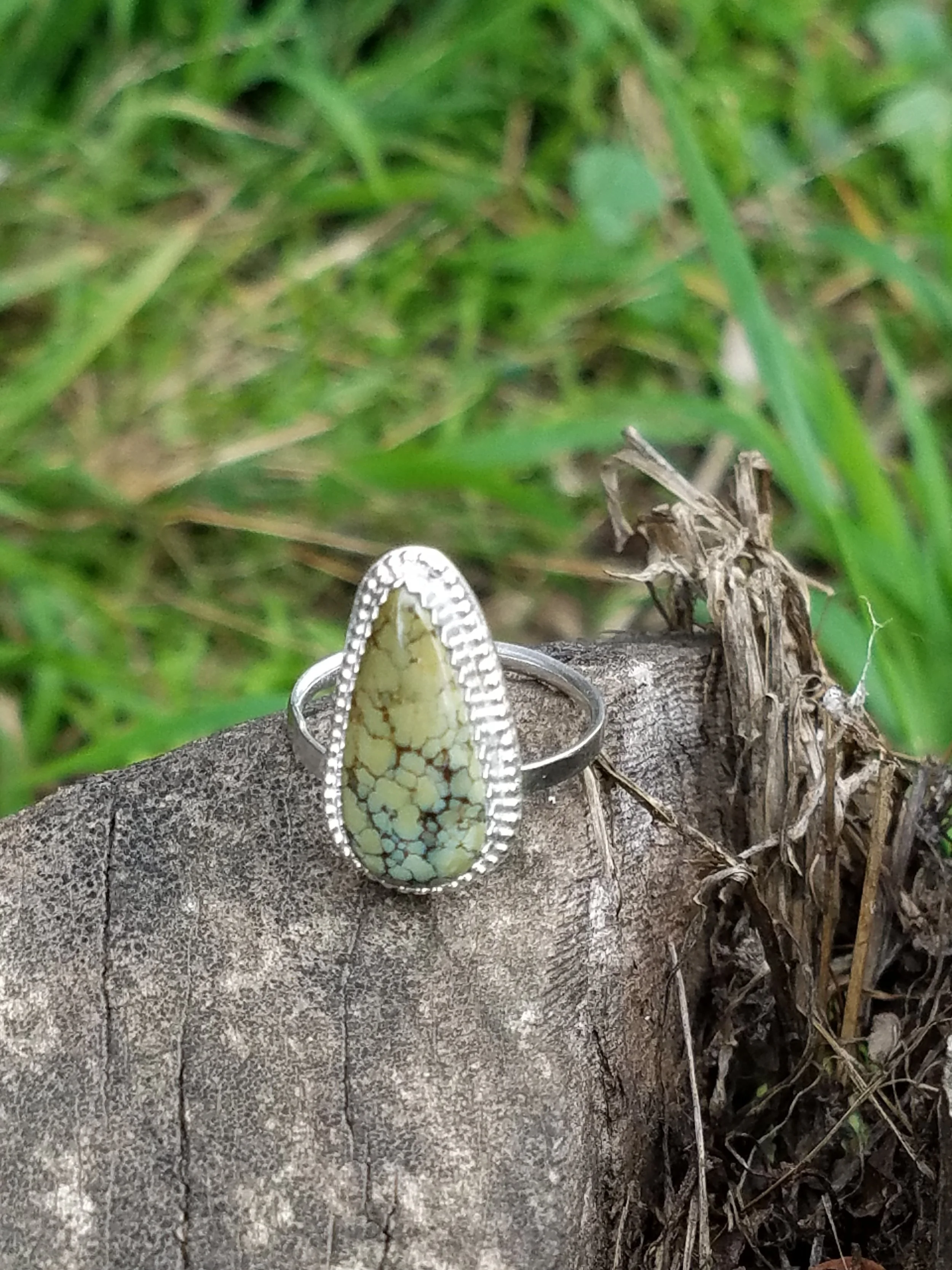 20180407_131625.jpg