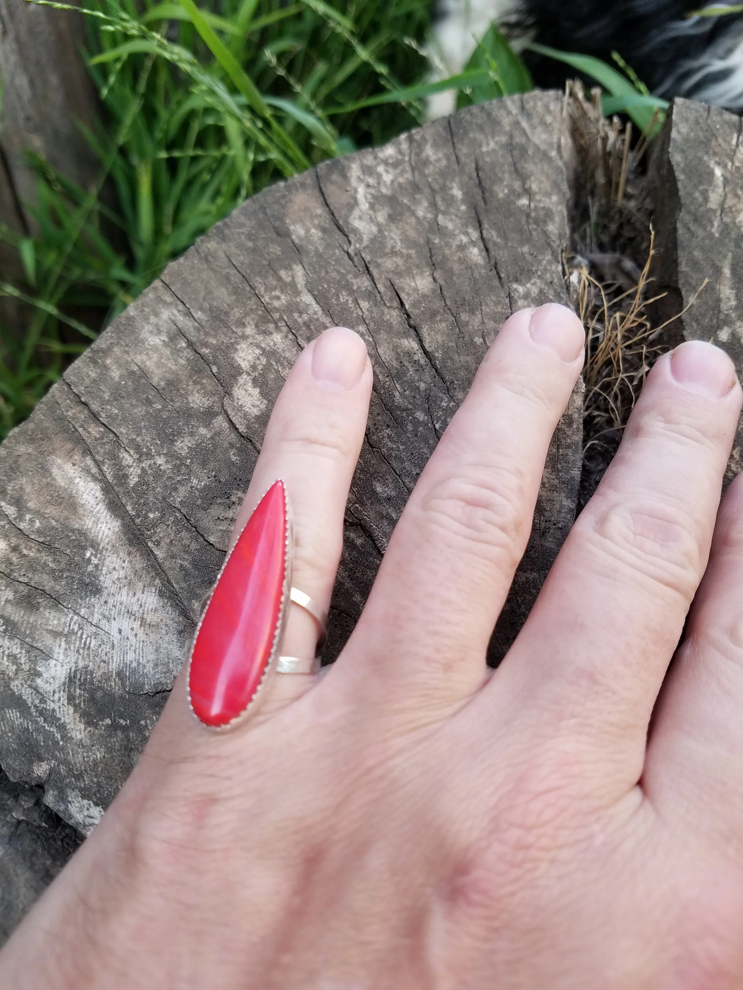 Rosarita Talon size 7.5