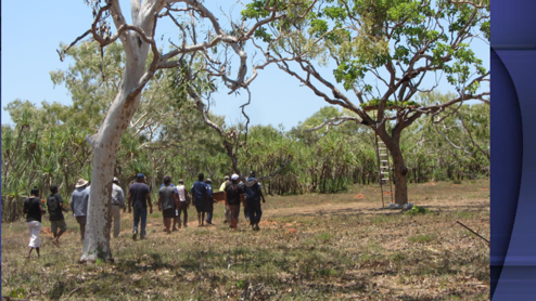 Tree Burial on Bardi country - DPLH