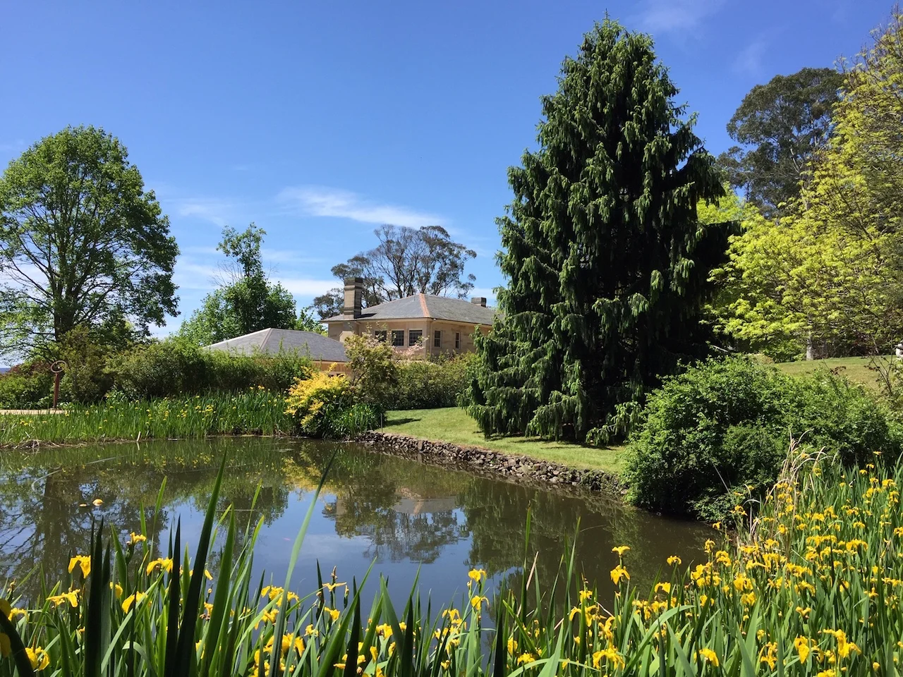 Newly-established garden ‘Greenbrier Park’ at Mittagong