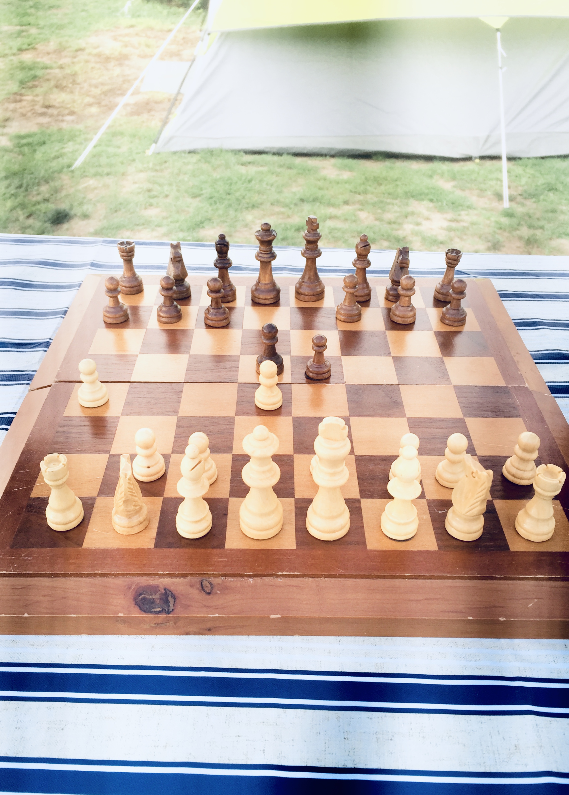 Chess_thenonstopprocessoffiguringitout.jpg
