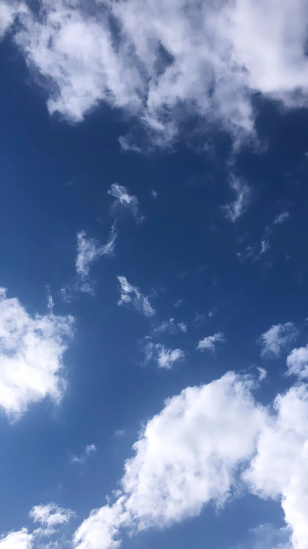 Quarantine Diaries, Ready or Not